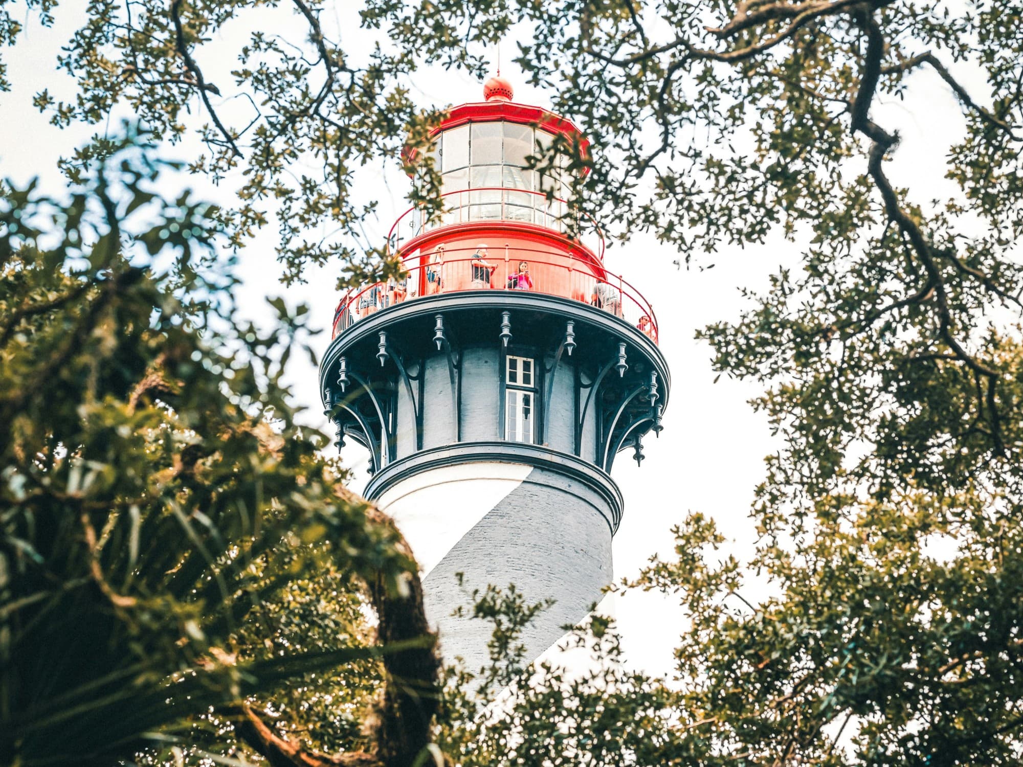 A low-angled view through trees of a lighthouse during the daytime