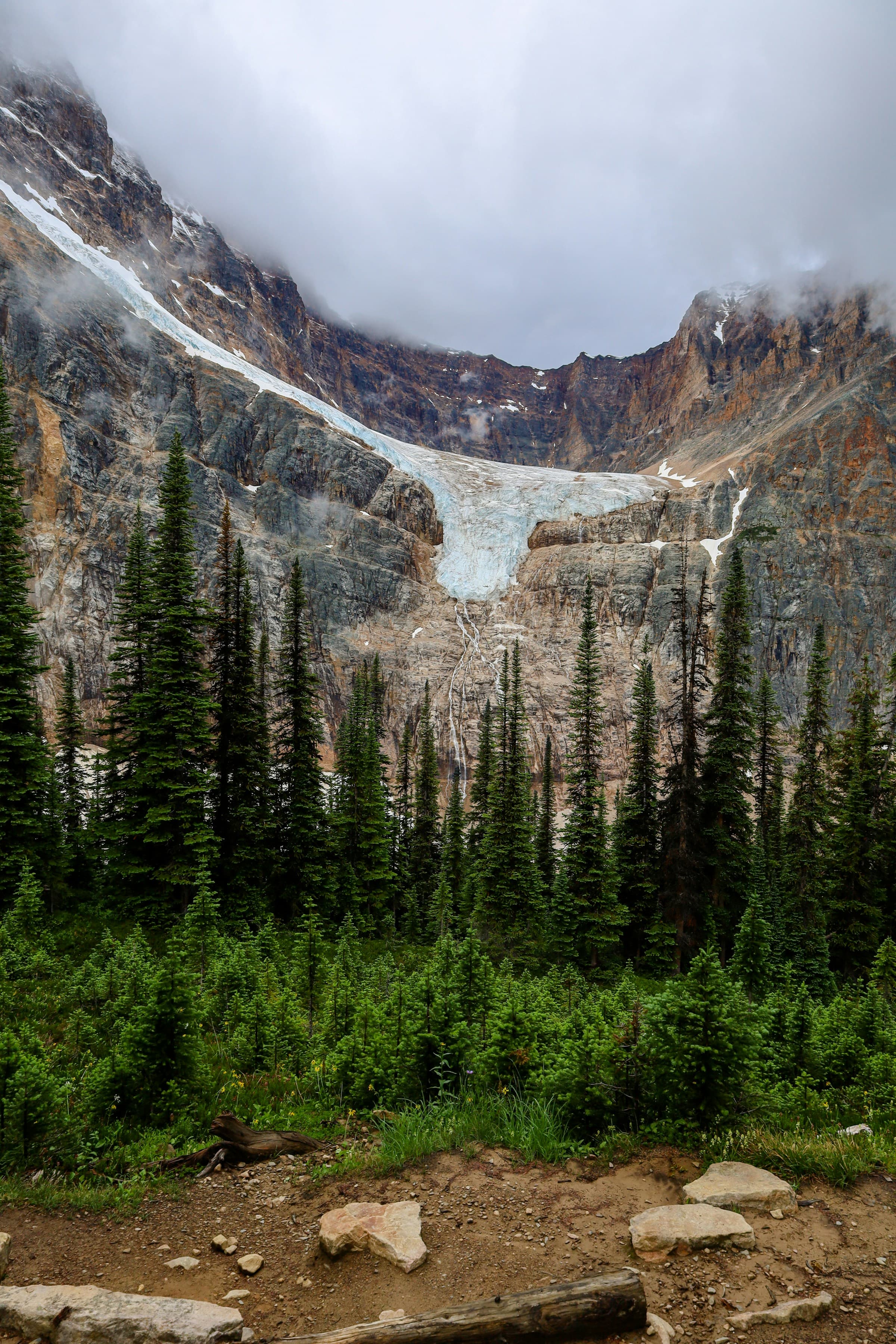 A rocky mountain with tall, green trees at the base