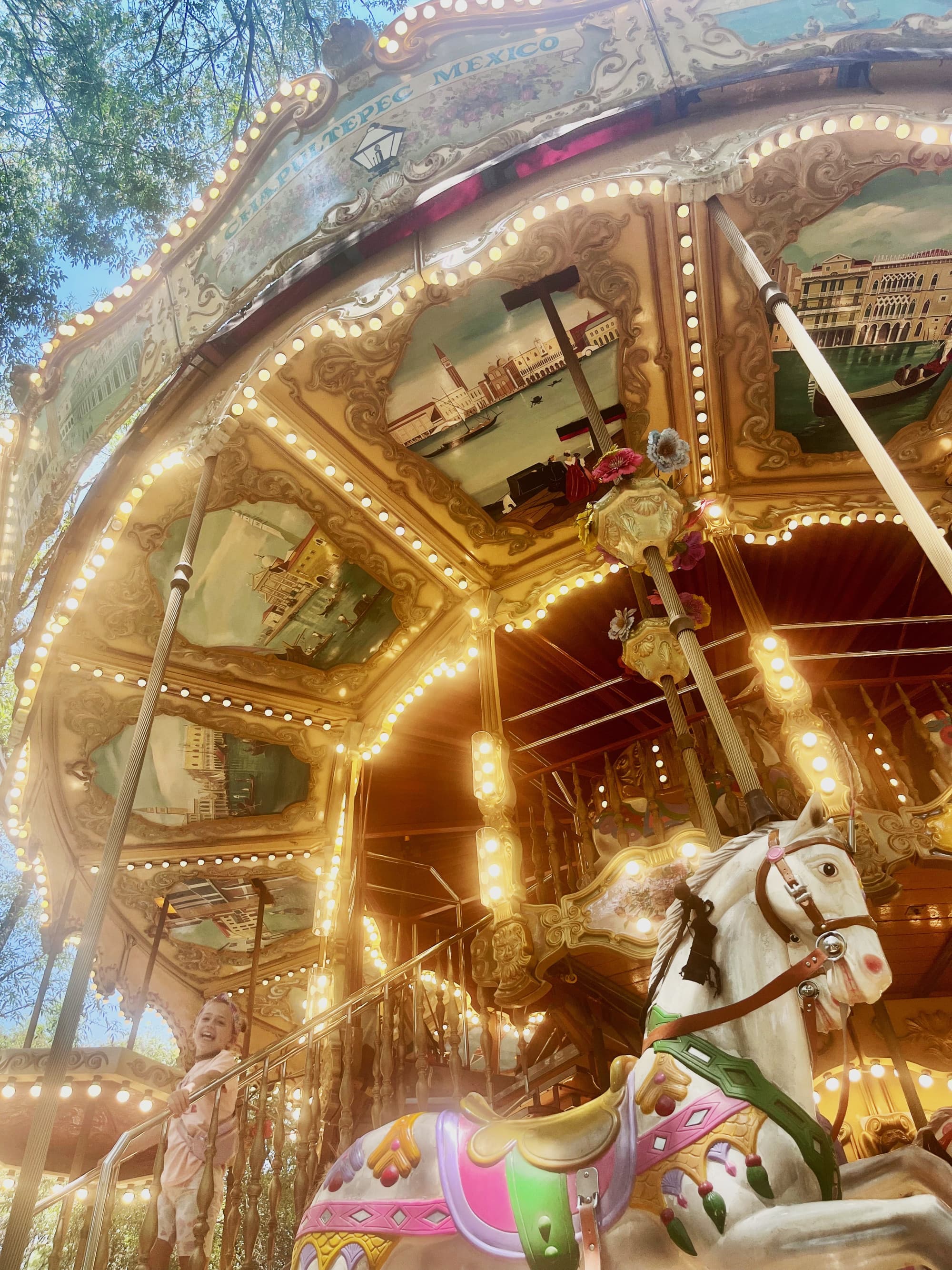 A brightly lit carousel with ornate decorations and horses captures a sense of whimsy and nostalgia.