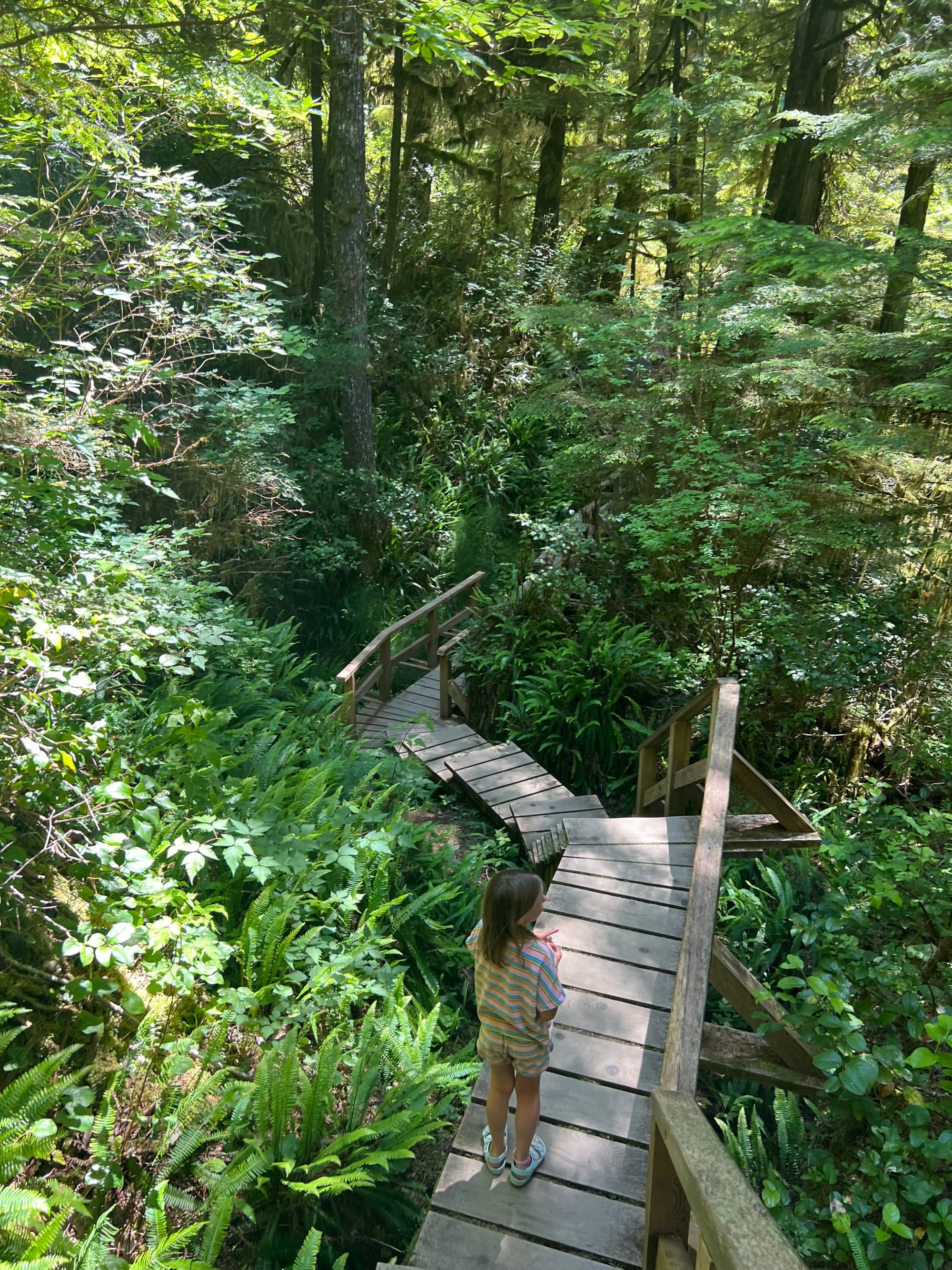 The image shows a wooden walkway in a lush green forest with an individual standing on it.