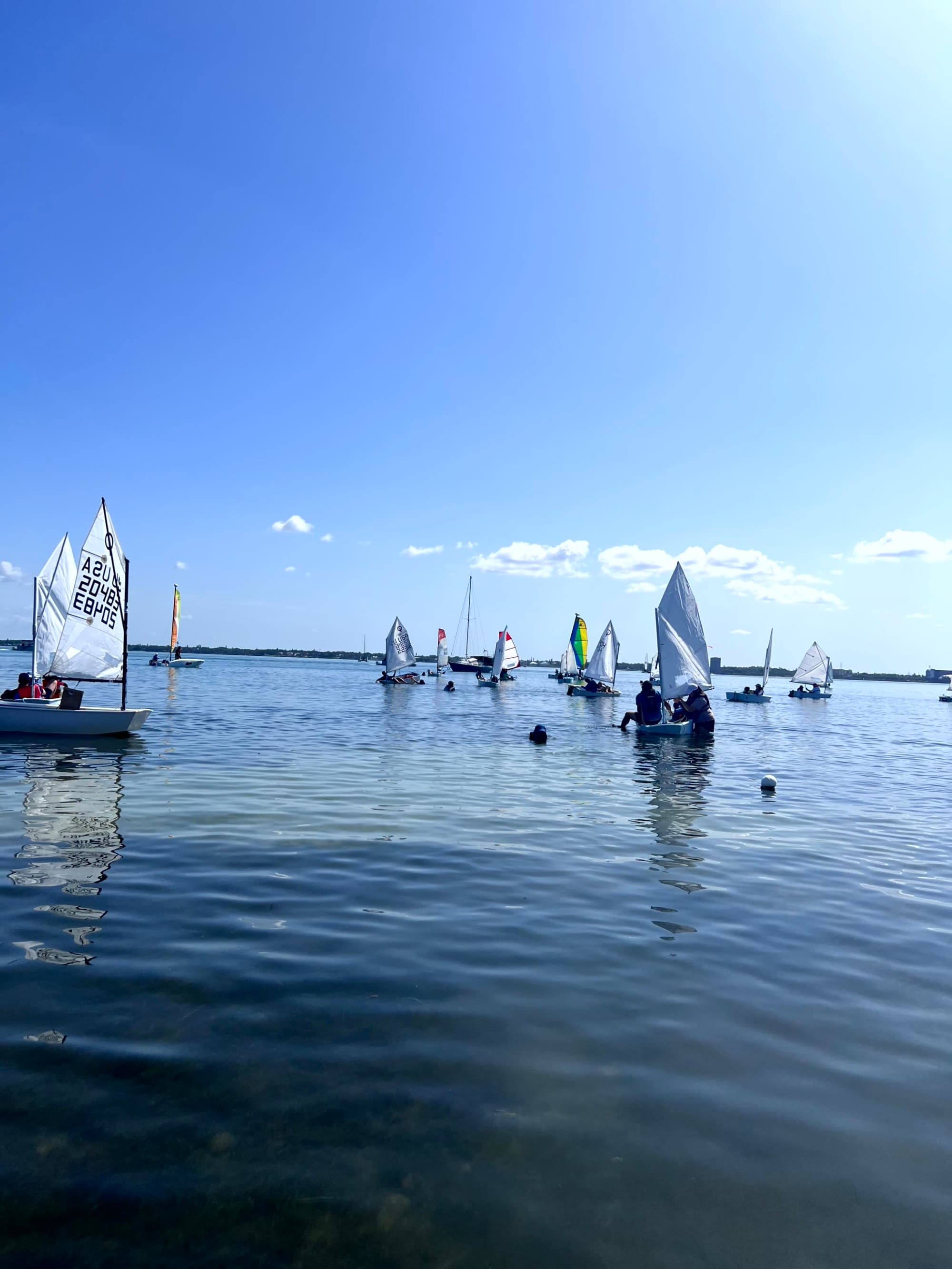 A group of small sailboats tilts to the right on a calm body of water under a clear sky.