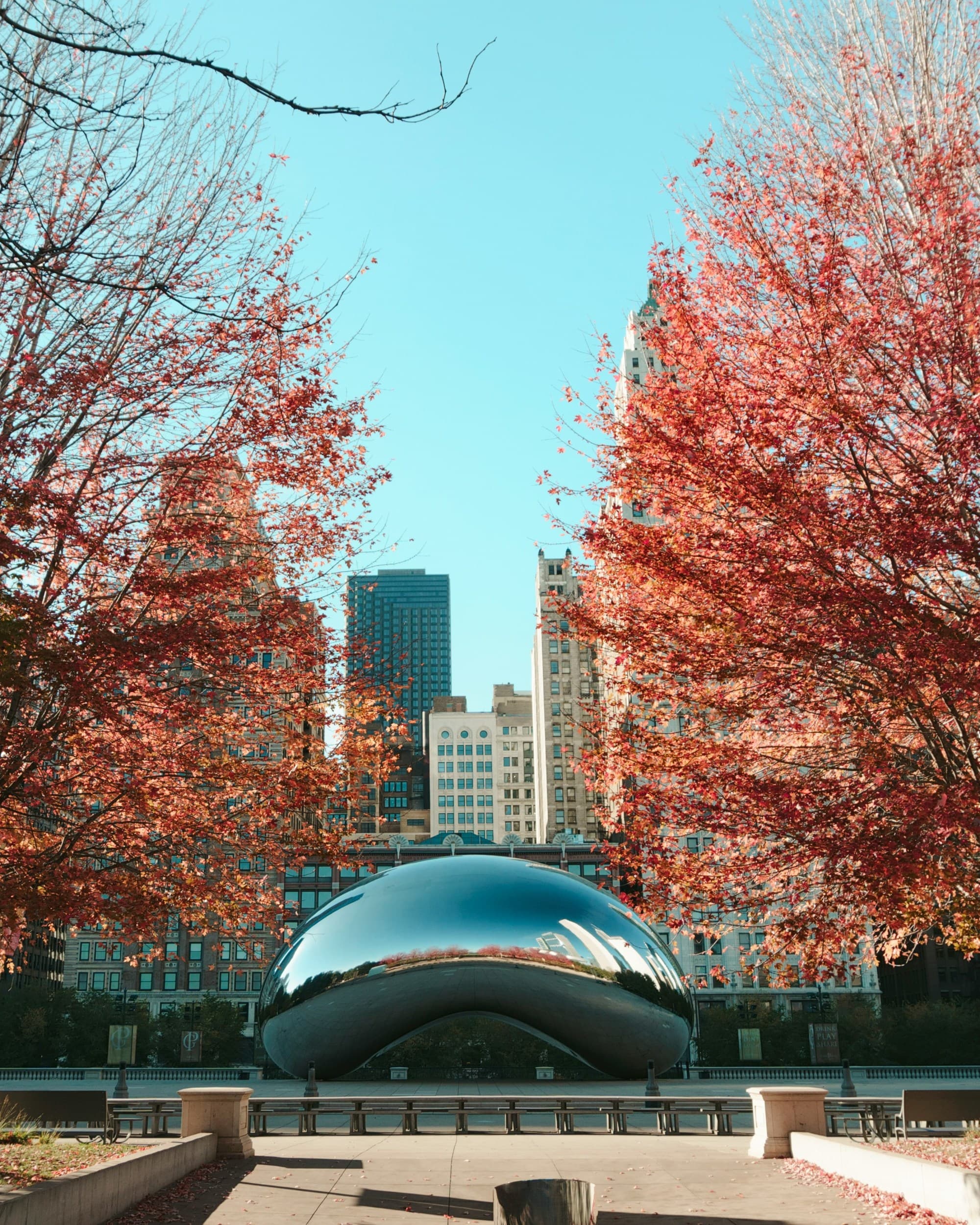 A photo of a reflective, metal structure between trees with red leaves and city buildings in the background