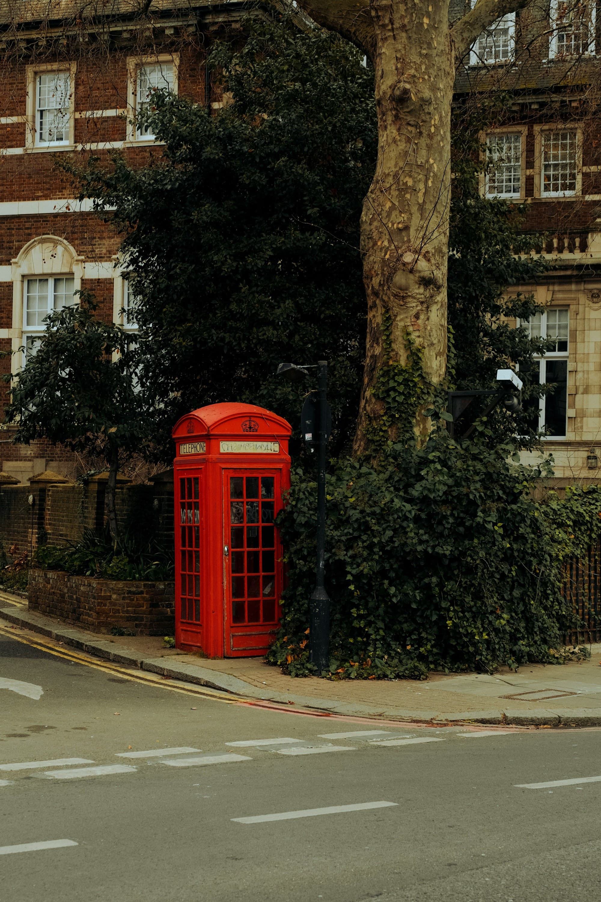 The image features a classic red British telephone box on a sidewalk, flanked by a tree and a brick building.