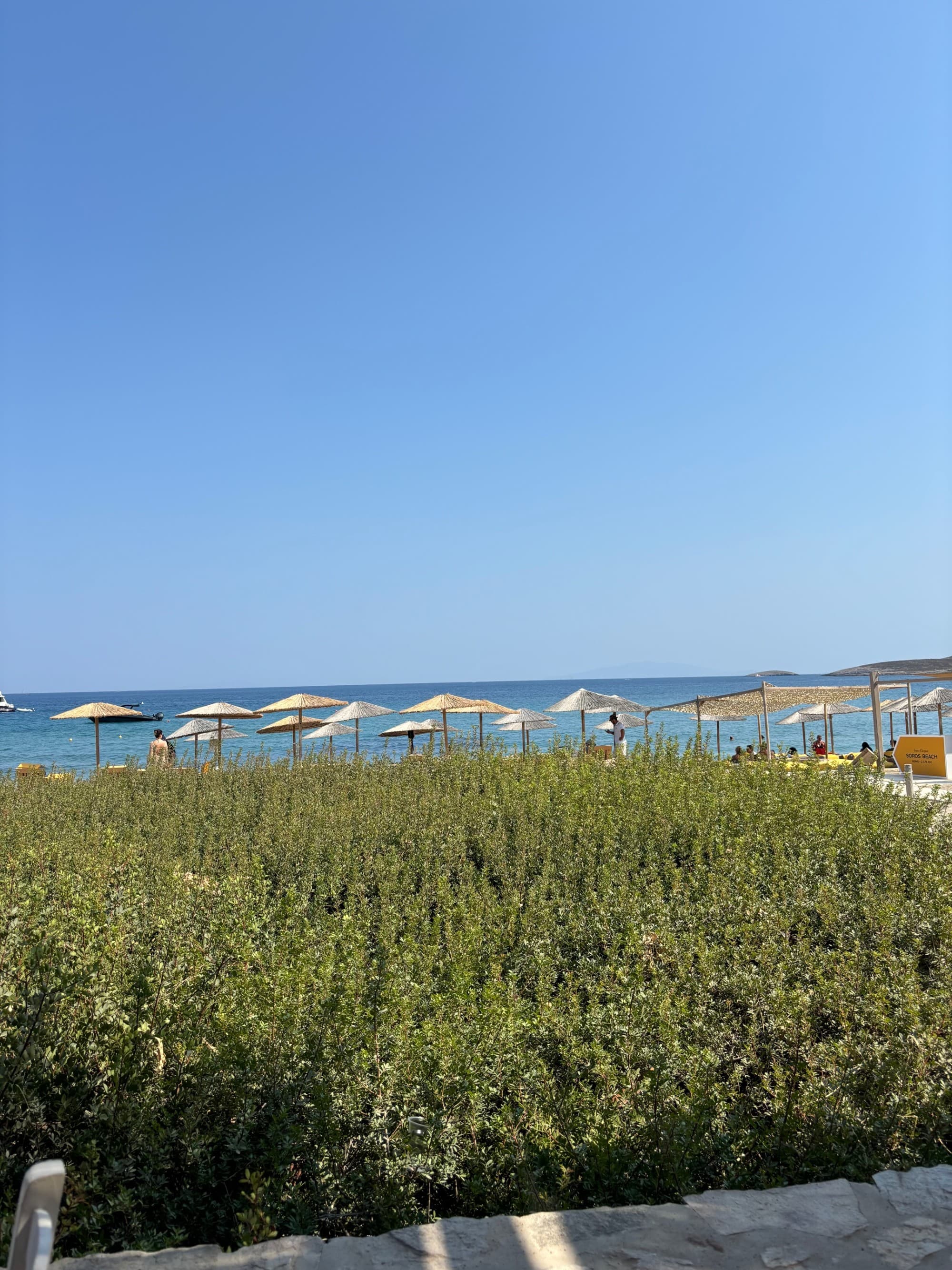 Ocean view with bushes in the foreground.