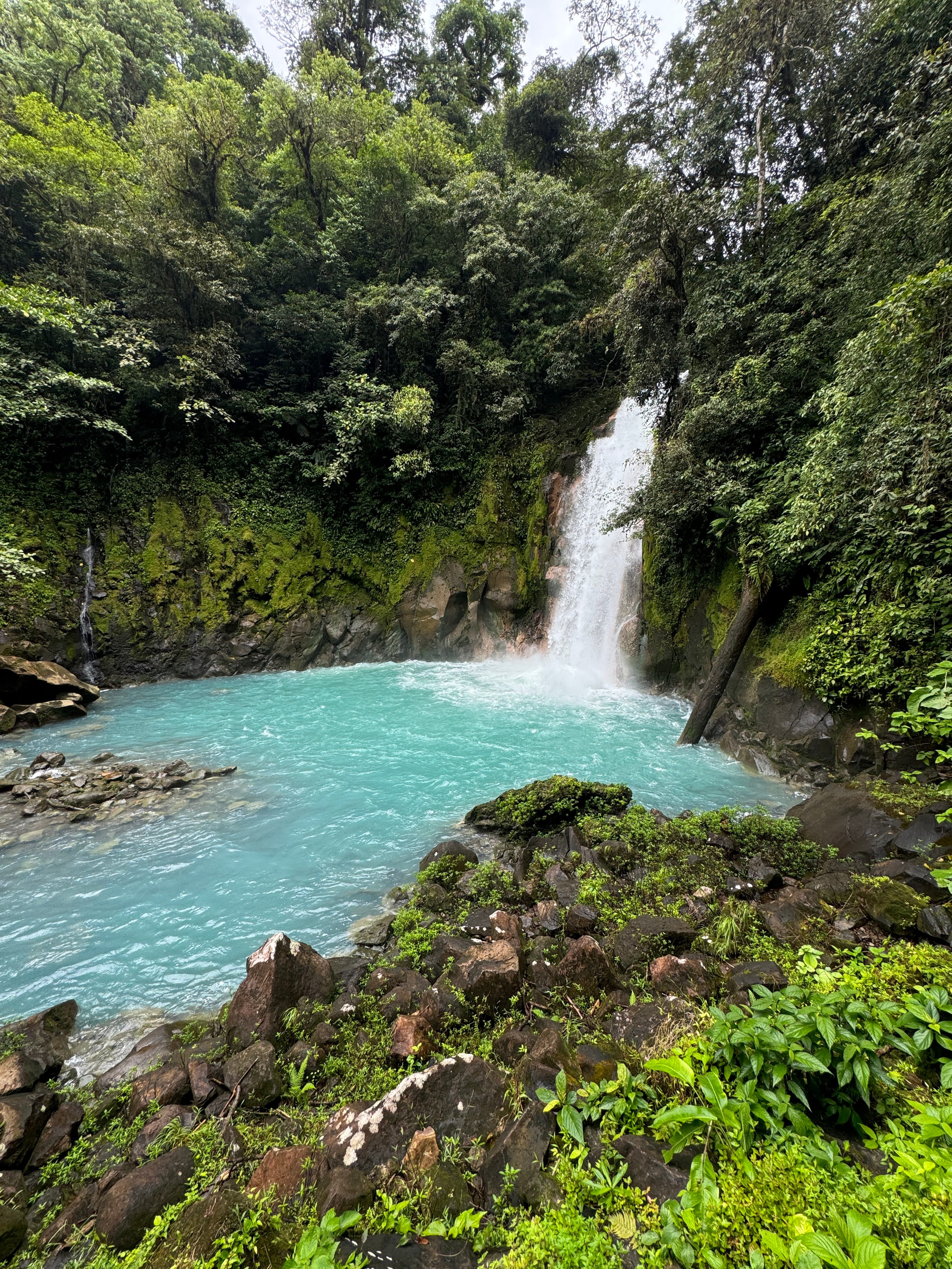 A waterfall landing in a bright blue body of water in a forest