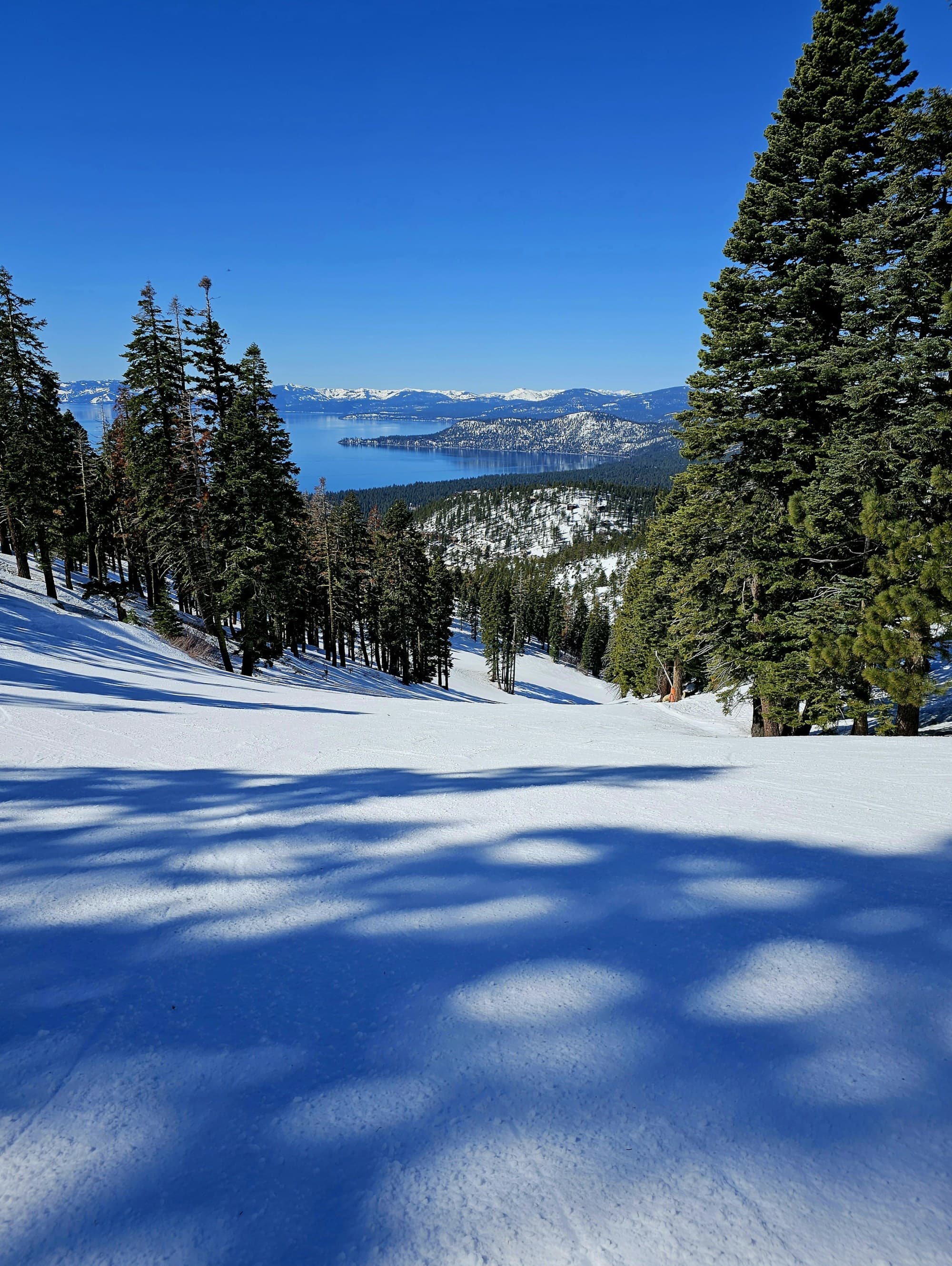 A snowy landscape with evergreen trees, a distant lake, and forested hills under a clear blue sky.