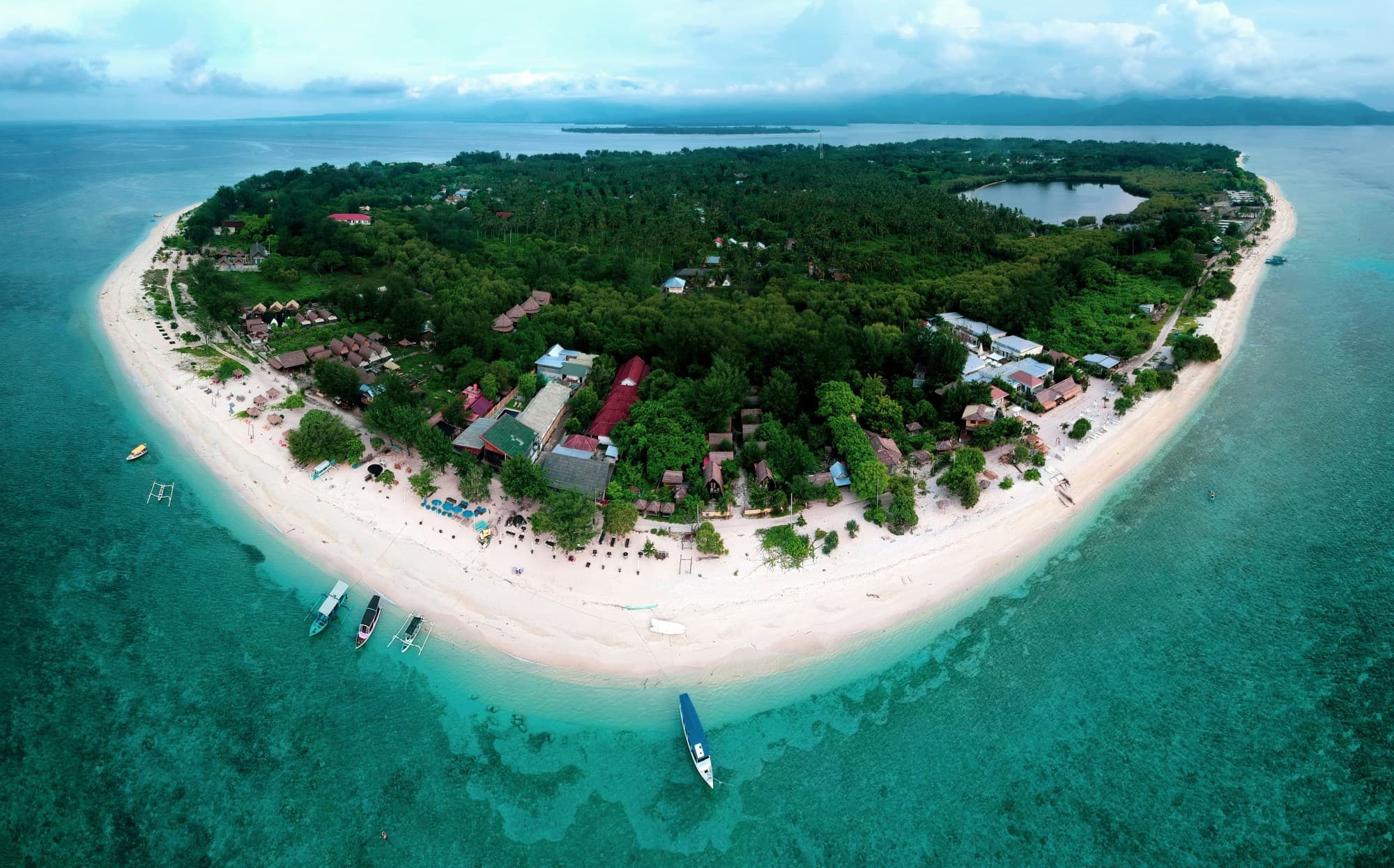 A aerial view of an island covered in green trees during the daytime