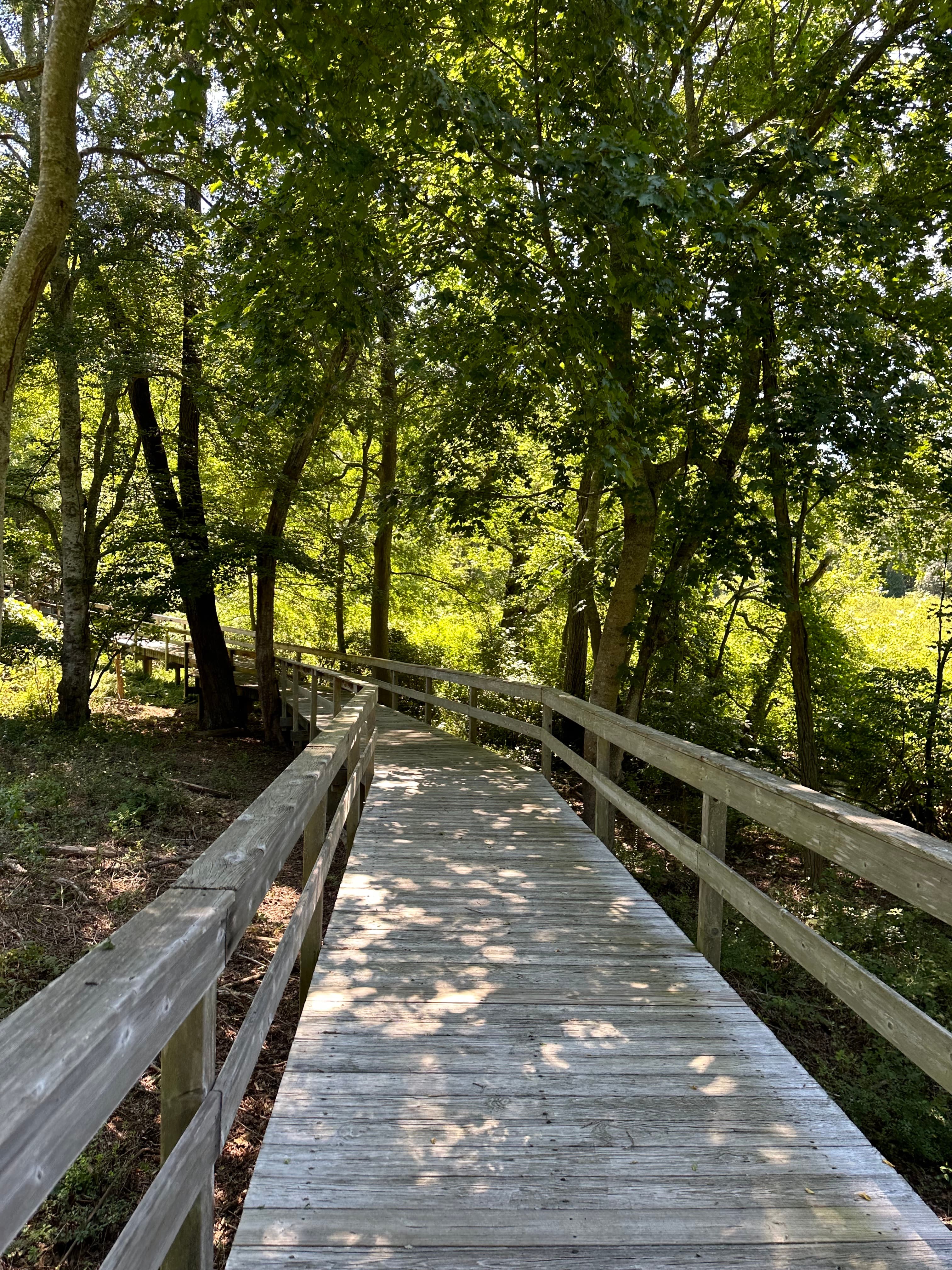 Wooden pathway at Mashomack Preserve