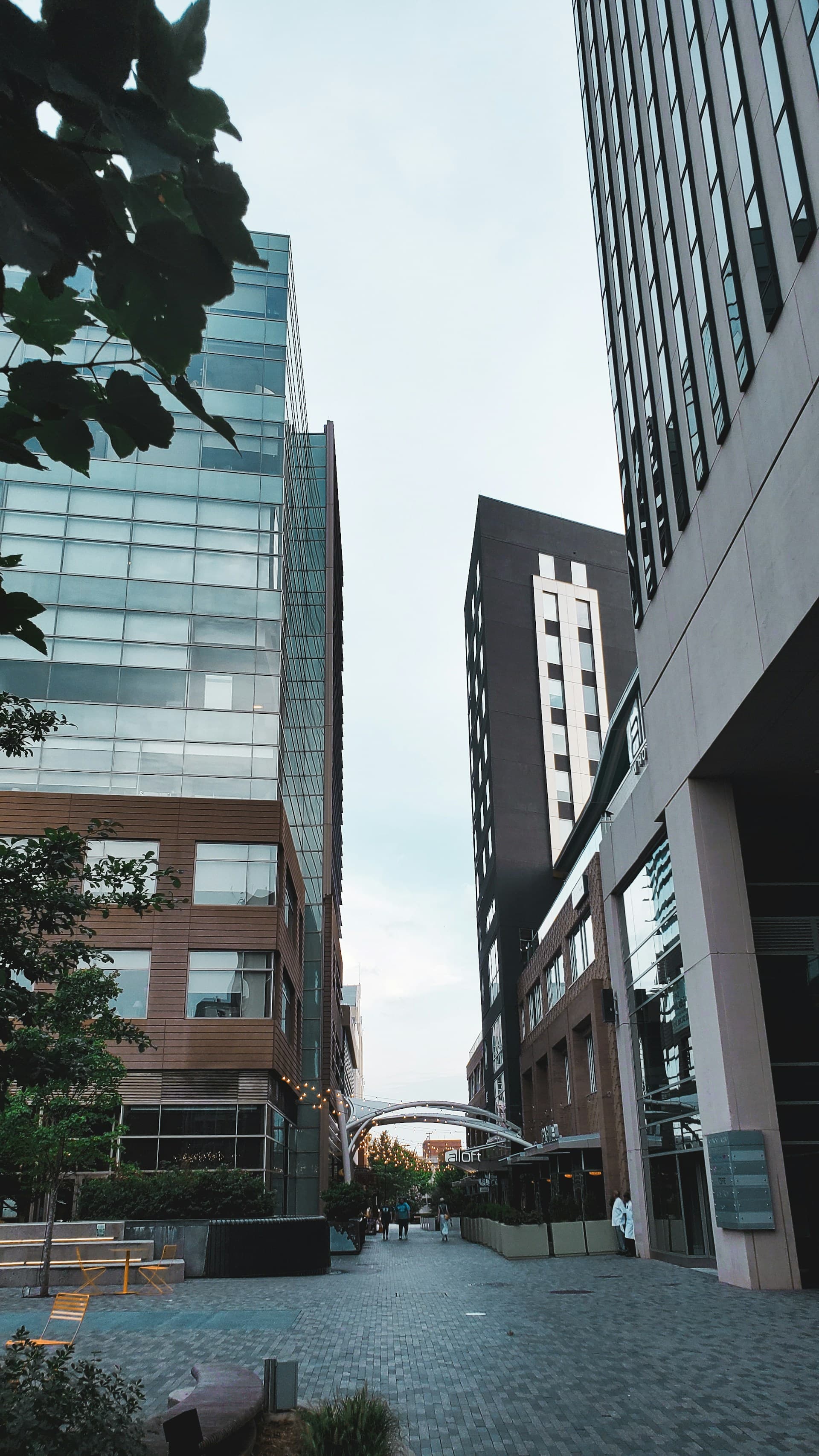 High-rise buildings at Main Street, Greenville.