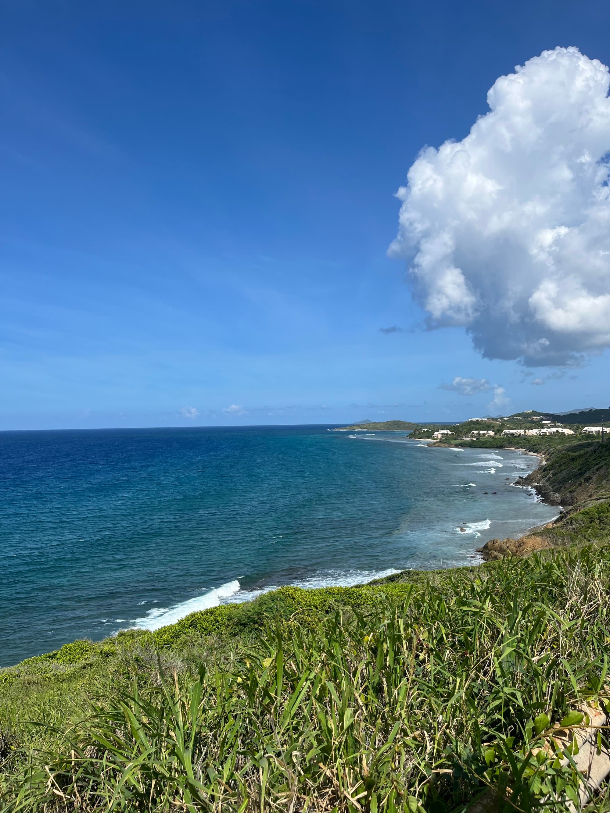 The image shows a coastal landscape with the ocean on the left, a clear blue sky above, and green vegetation in the foreground.