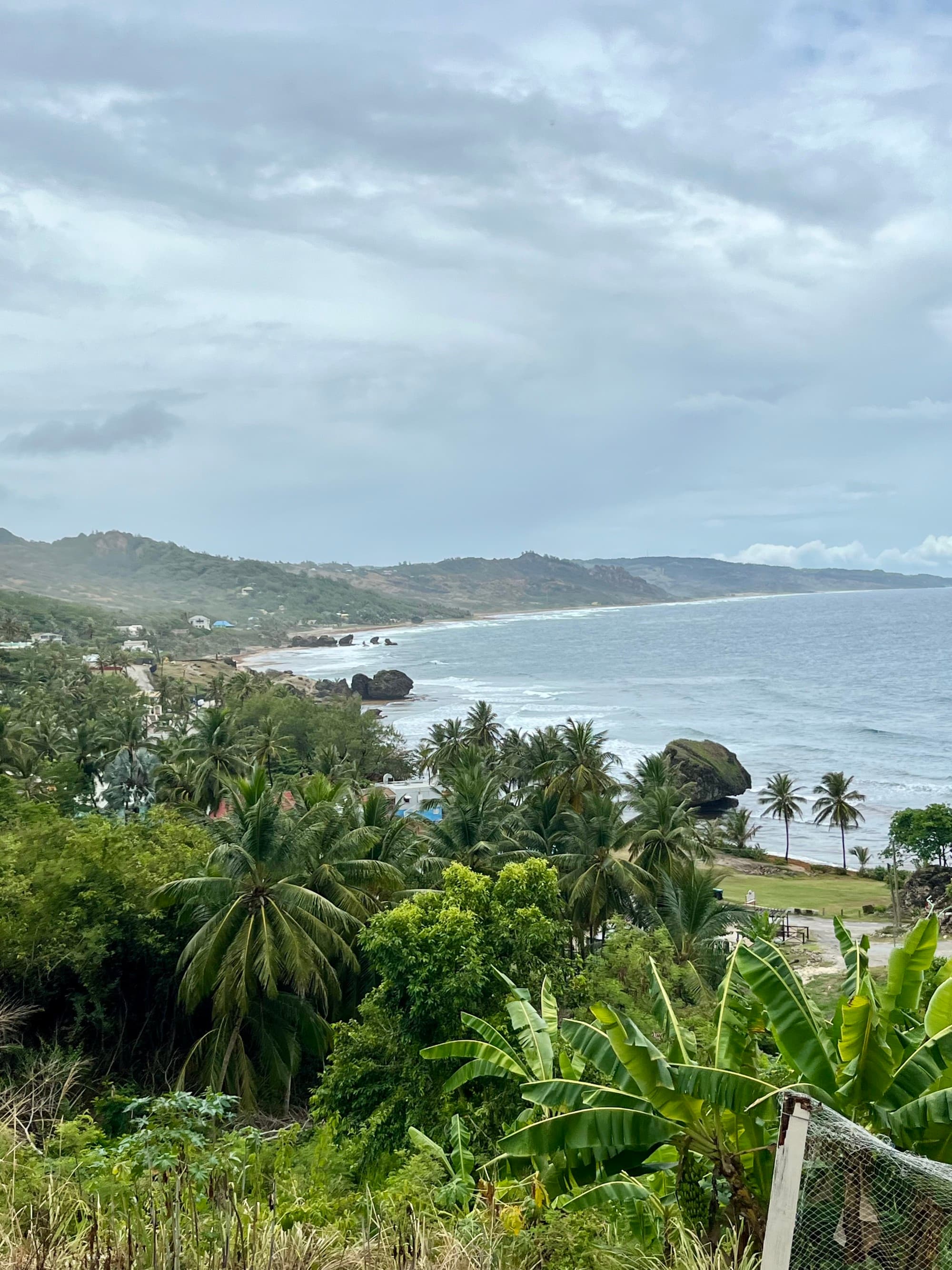 The image shows a coastal landscape with lush greenery in the foreground and a beach with waves in the distance under a cloudy sky.