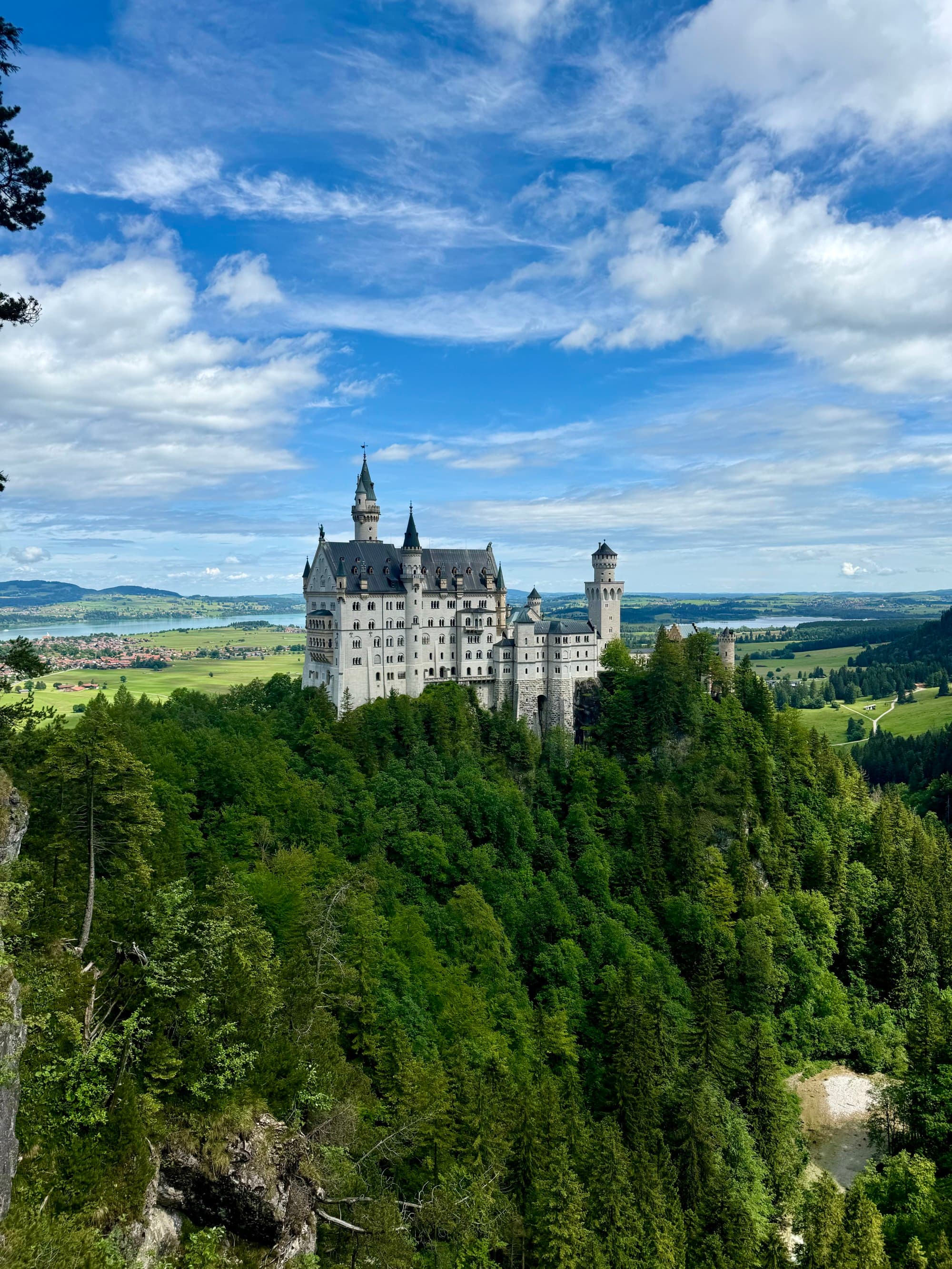 A big white and grey castle surrounded by trees.