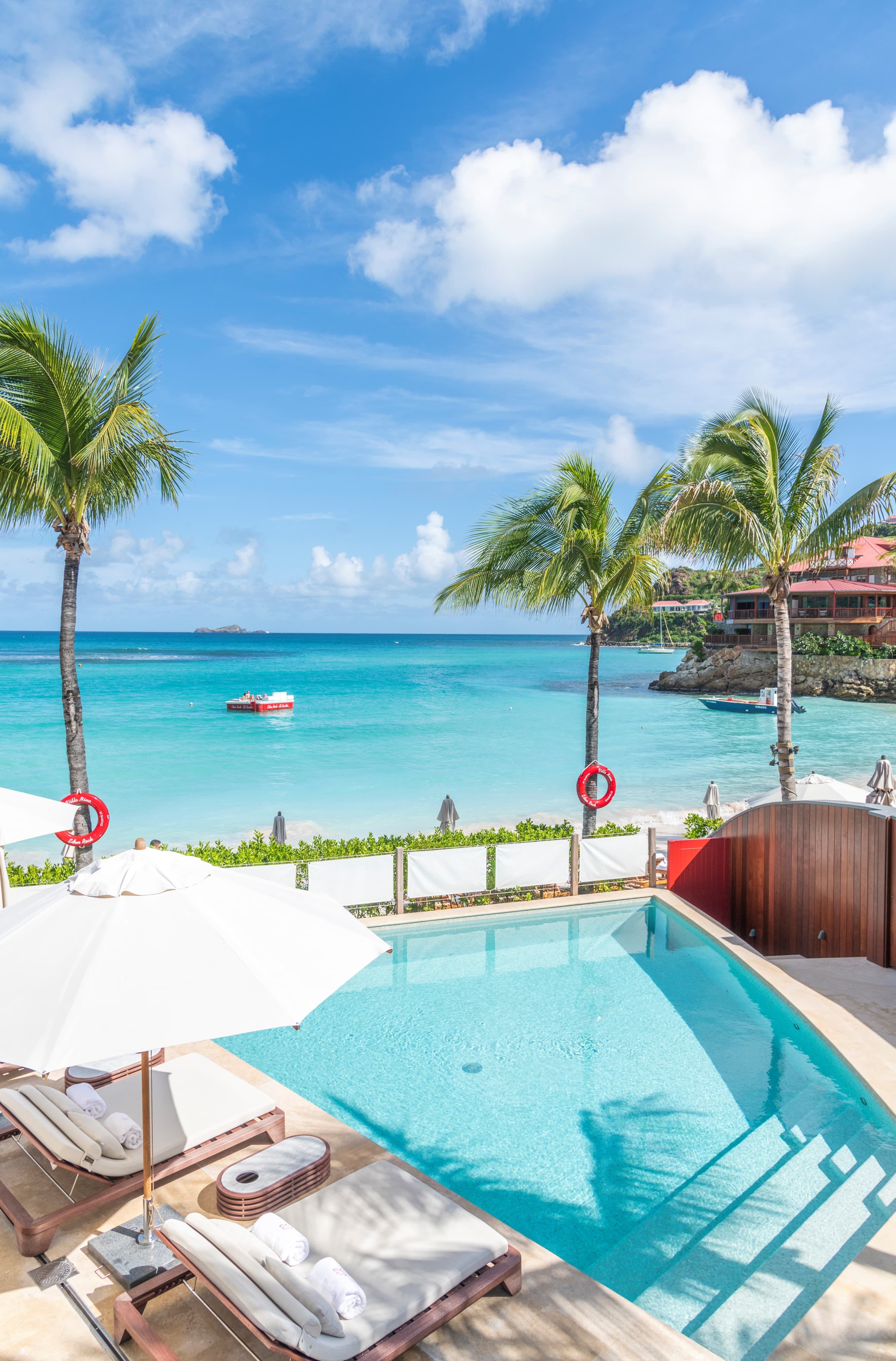 pool surrounded by palm trees overlooking the ocean during daytime