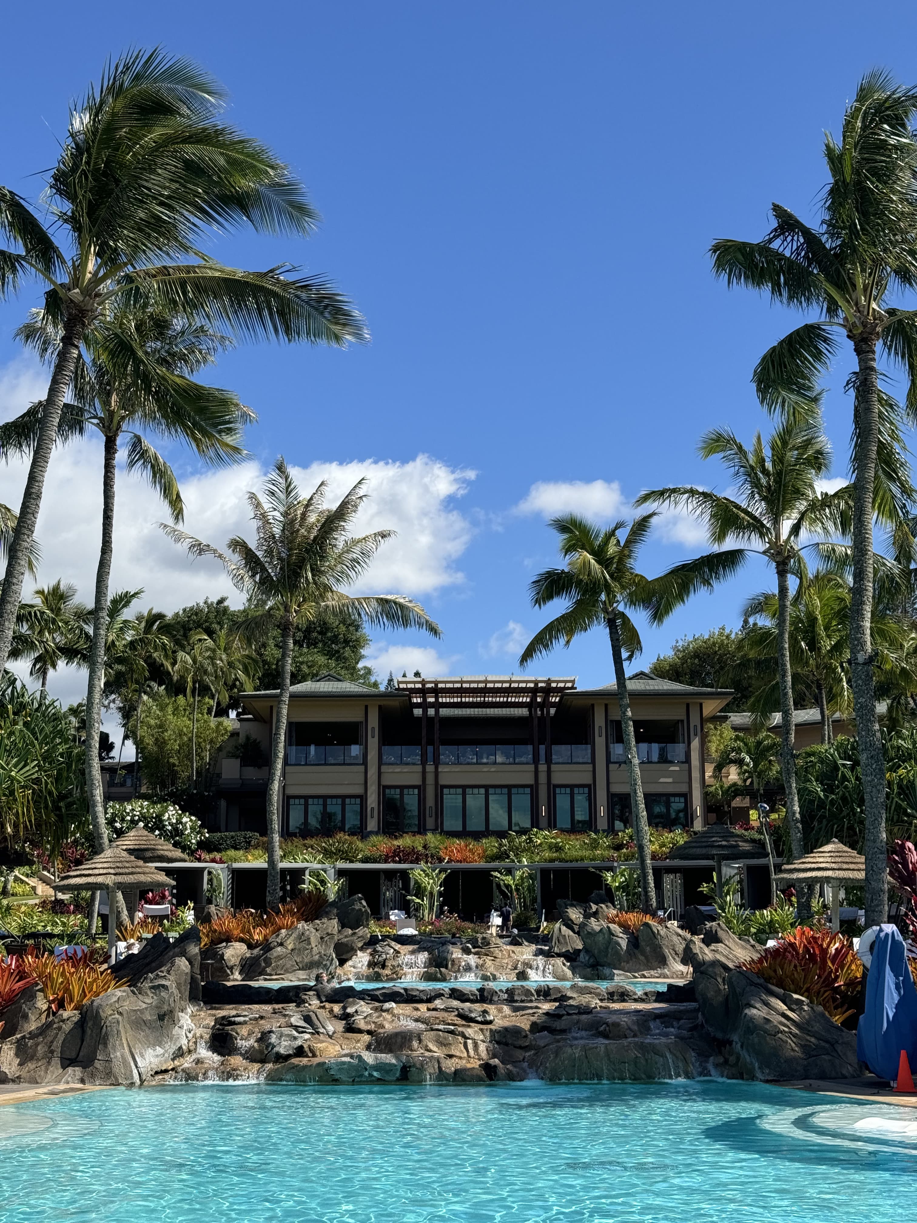 A hotel pool surrounded by palm trees.