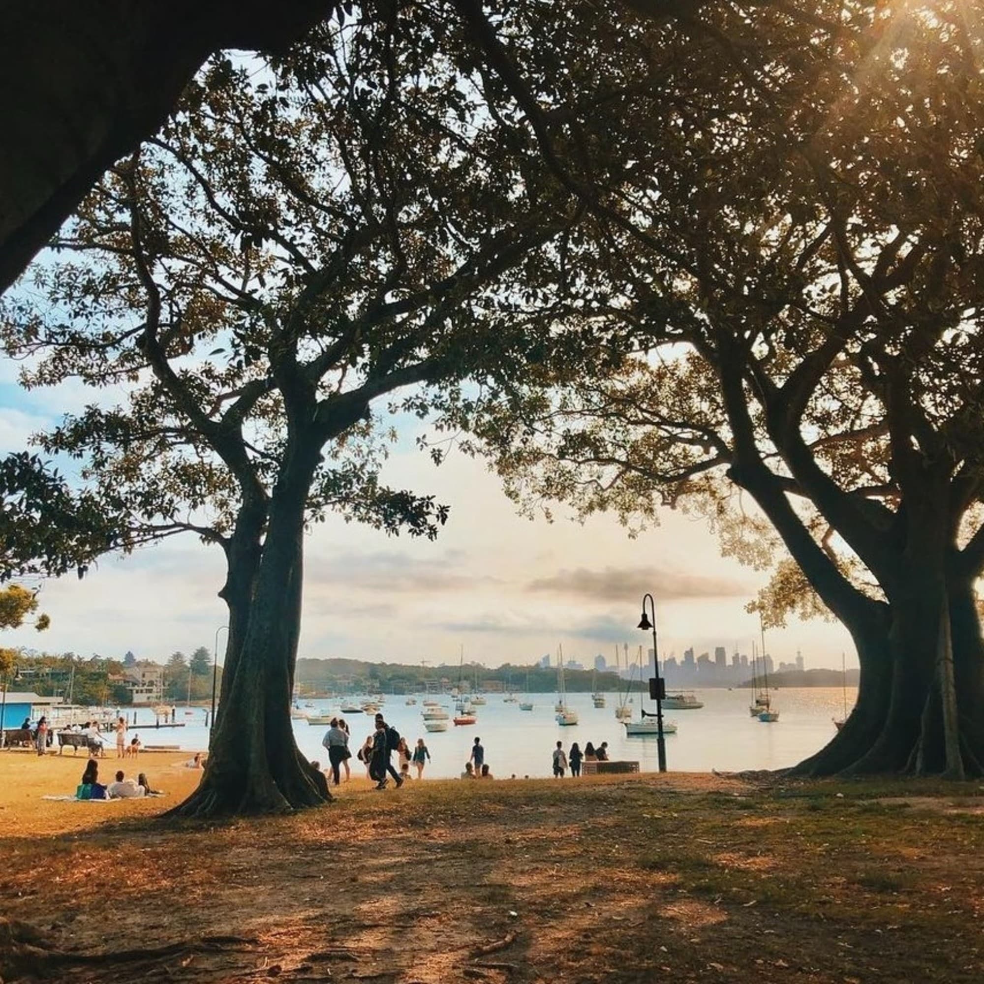 A serene riverside scene framed by two large trees, with people relaxing near the water and boats anchored in the distance.