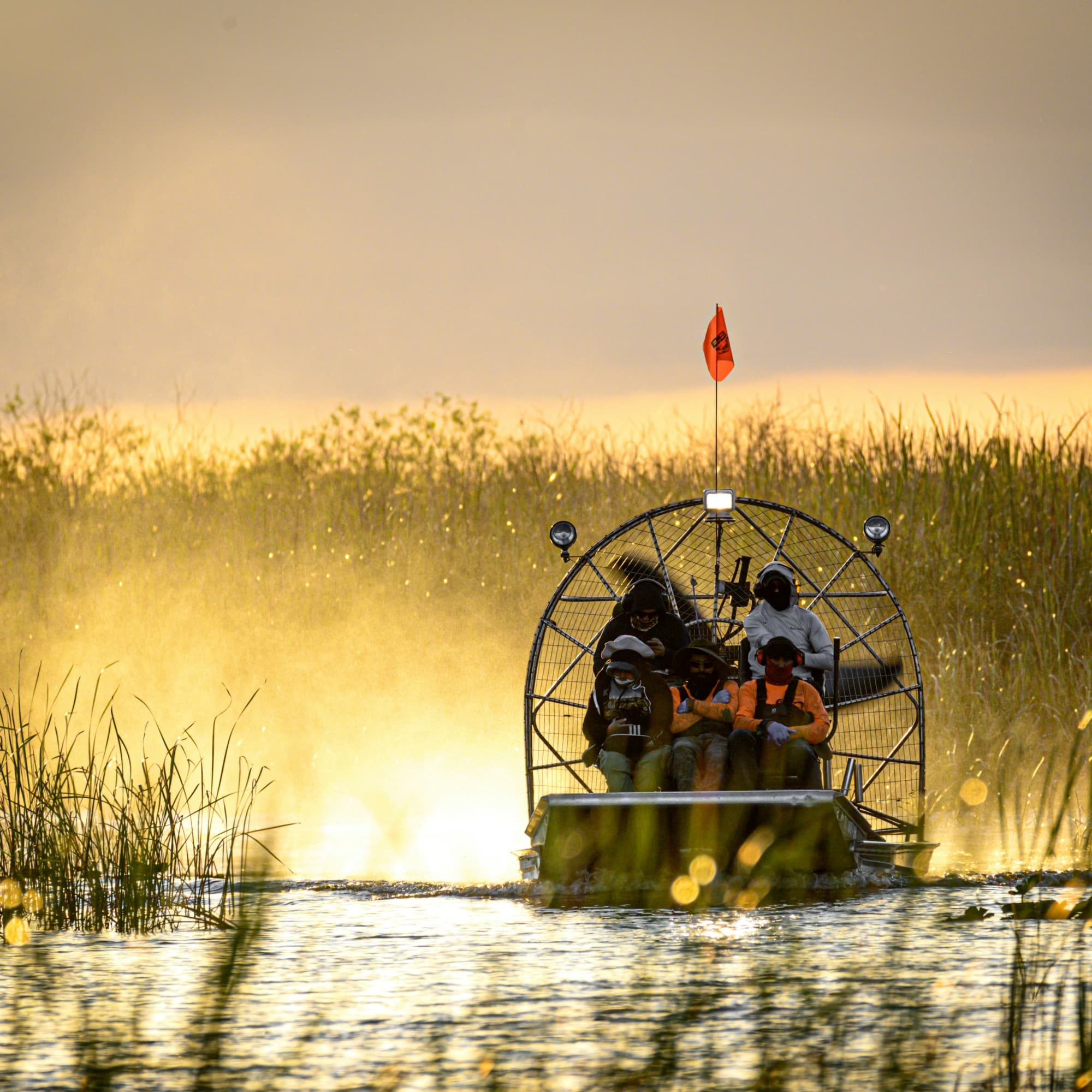 People in a fan boat travel in a swamp.