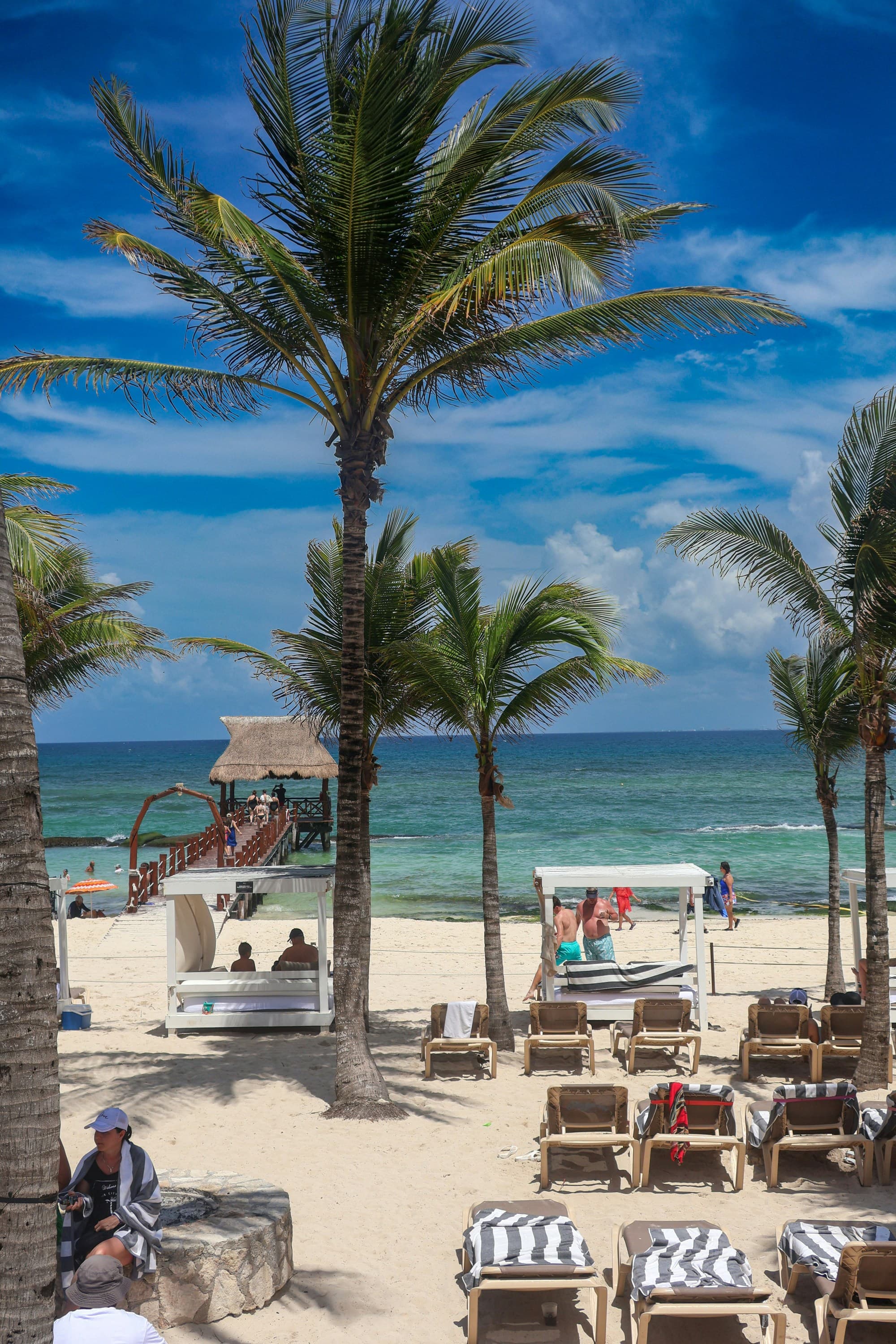 The image depicts a sunny beach scene with palm trees, a lifeguard tower, beach chairs and people enjoying the seaside.