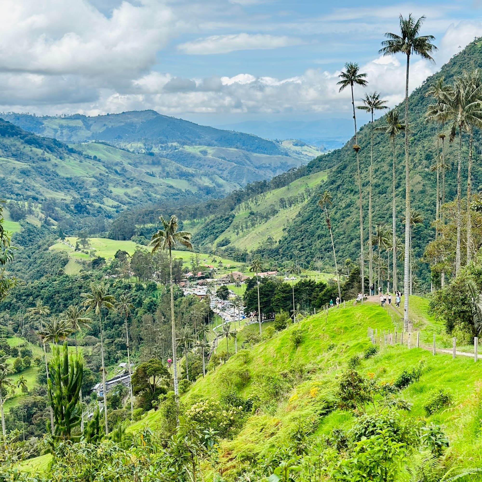 The image shows a lush green valley with tall wax palm trees under a partly cloudy sky.