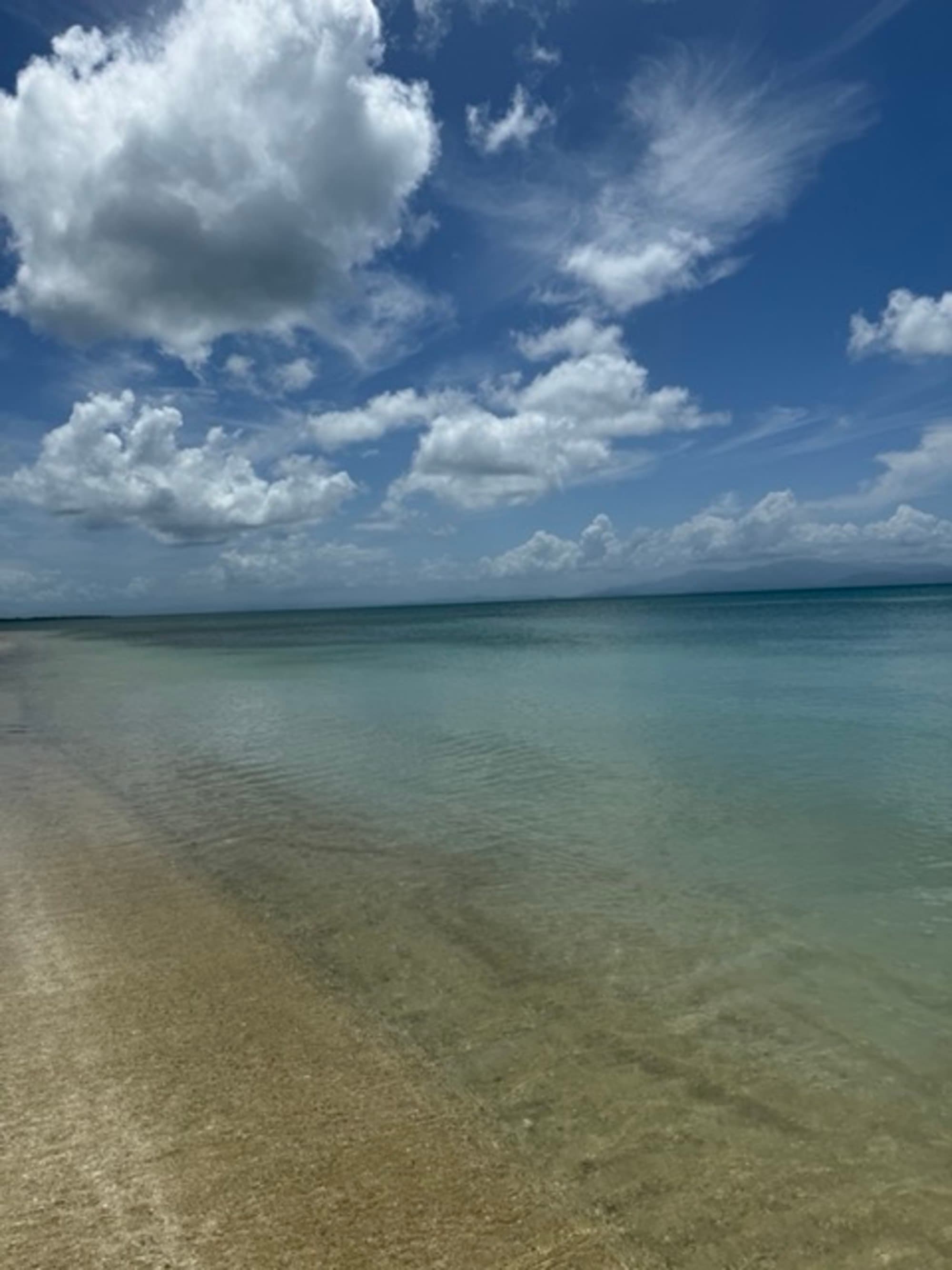 A sandy beach during the daytime