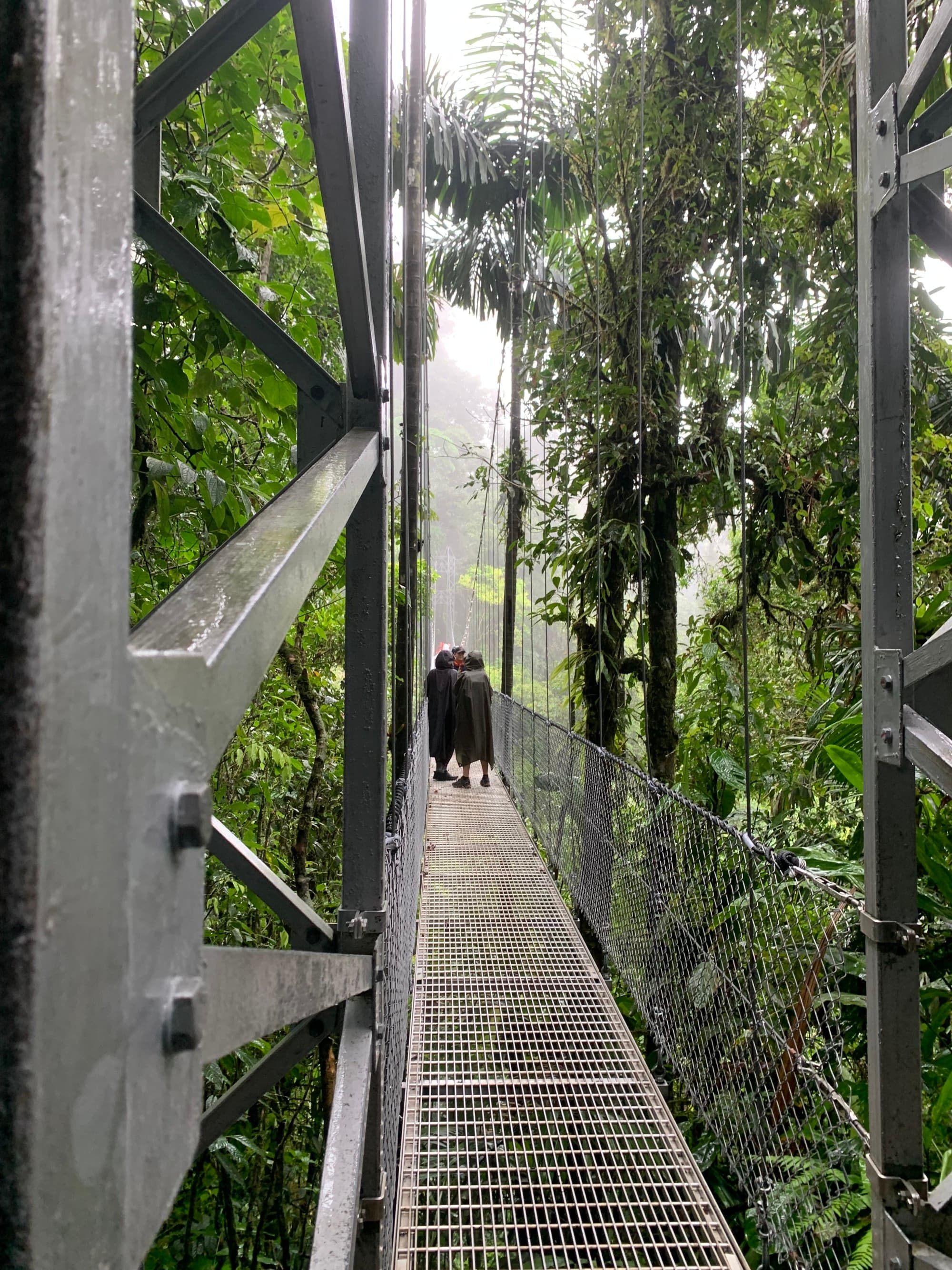 People walk on a wooden rope bridge through the rainforest.