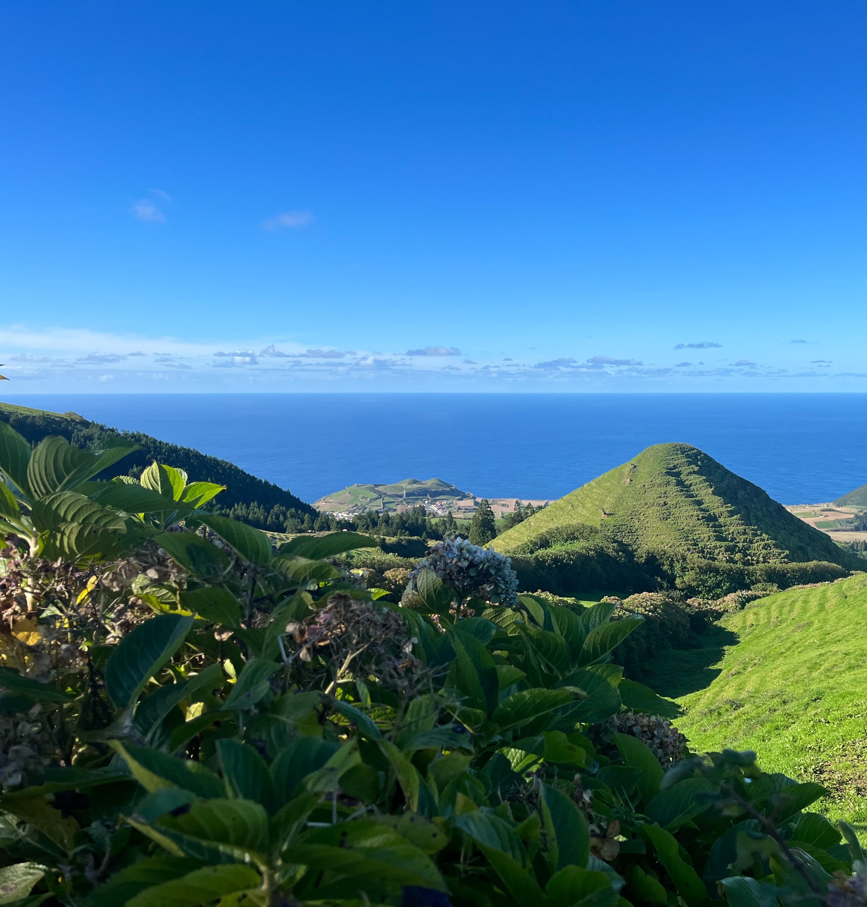 Aerial view of an island covered in greenery with the ocean in the distance