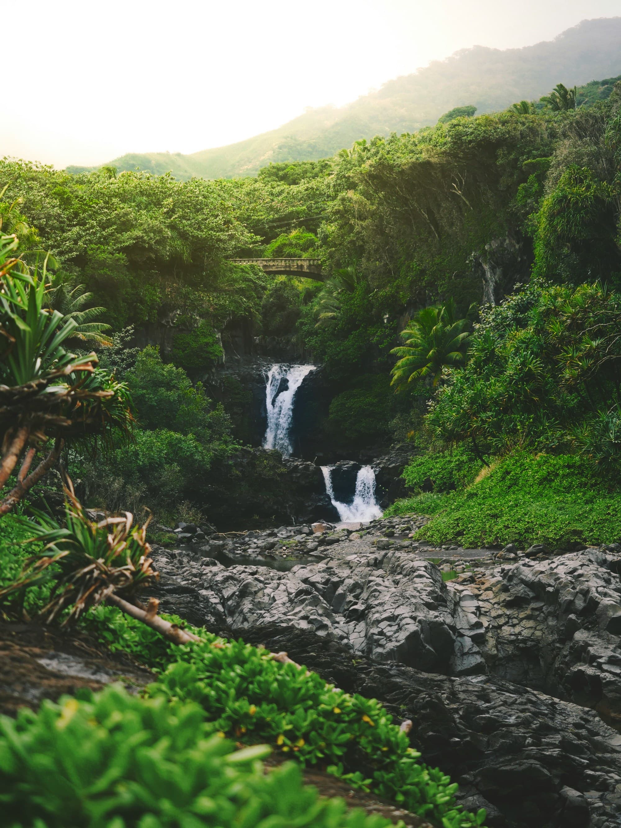 Two small waterfalls pouring out of the deep green rainforest.