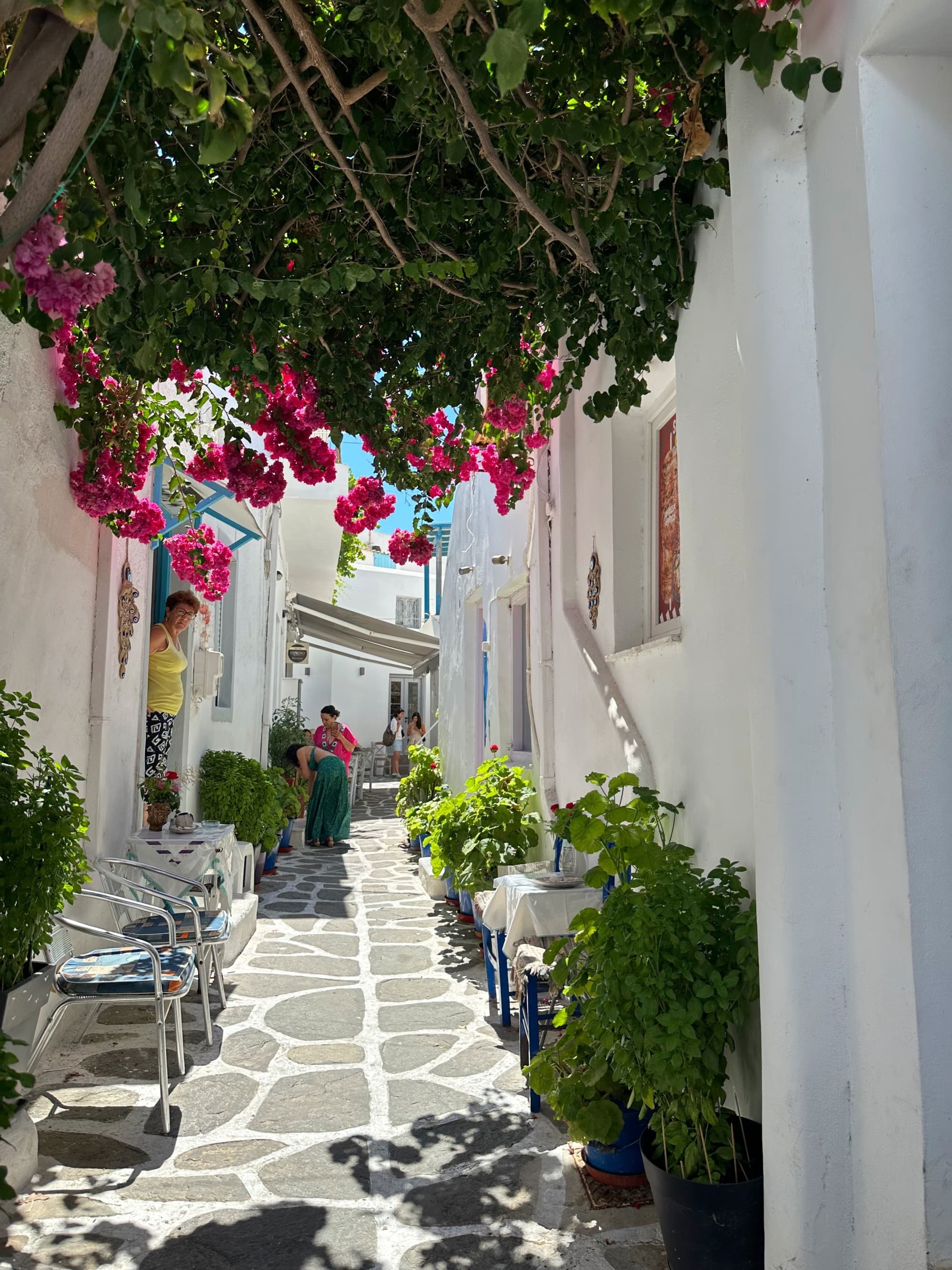 A narrow street with white buildings and hanging bougainvilleas.