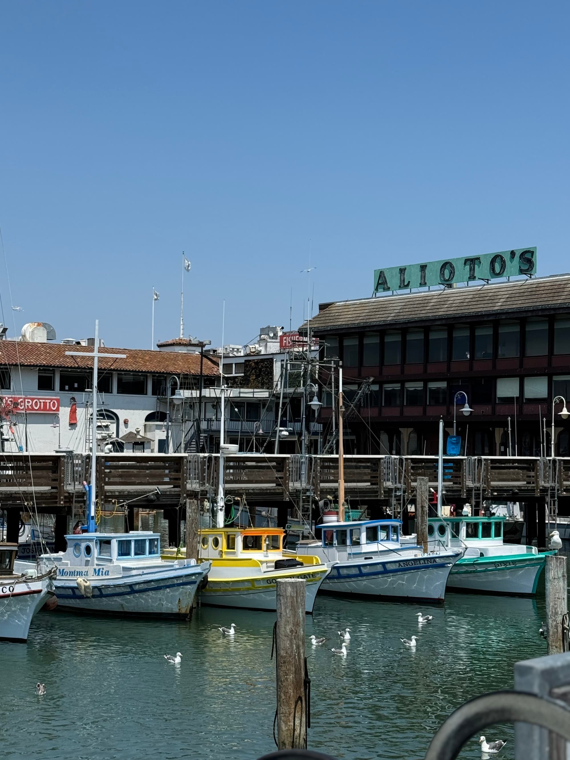 A waterfront scene with boats docked at a pier seagulls flying, and a building with the sign “ALIOTO’S” in the background.