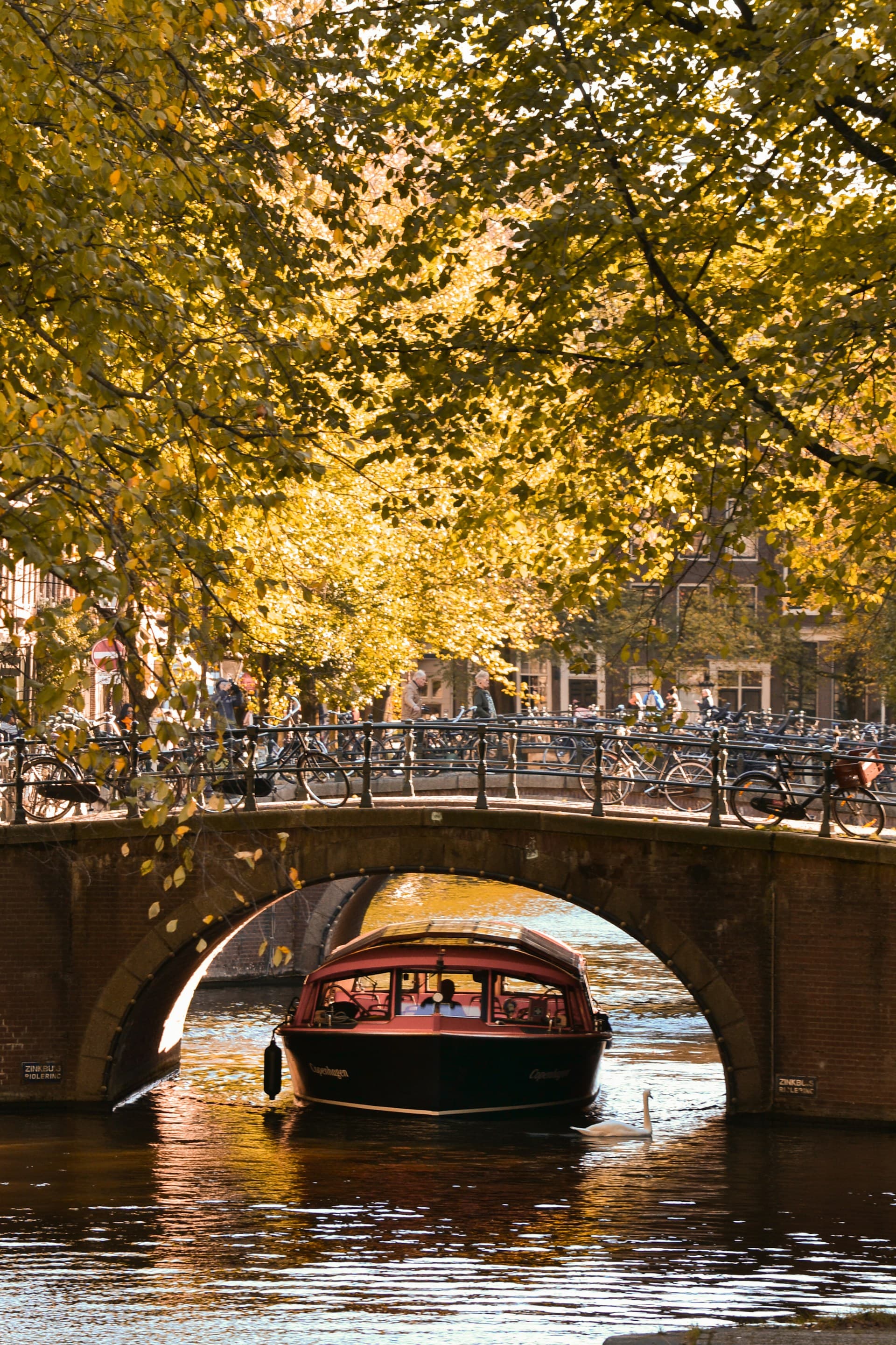 A boat passing under a bridge on a river.