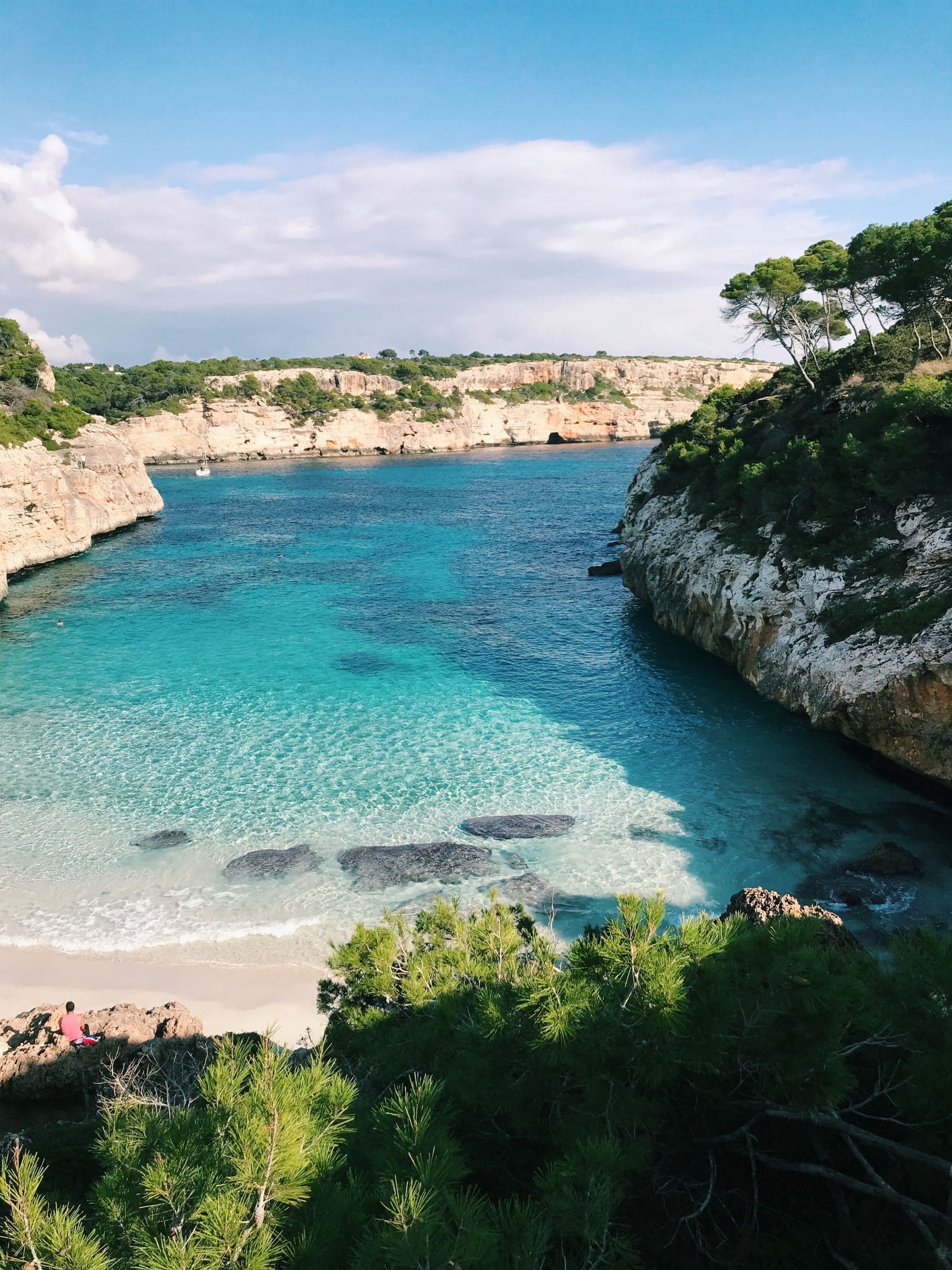 Body of blue water near trees