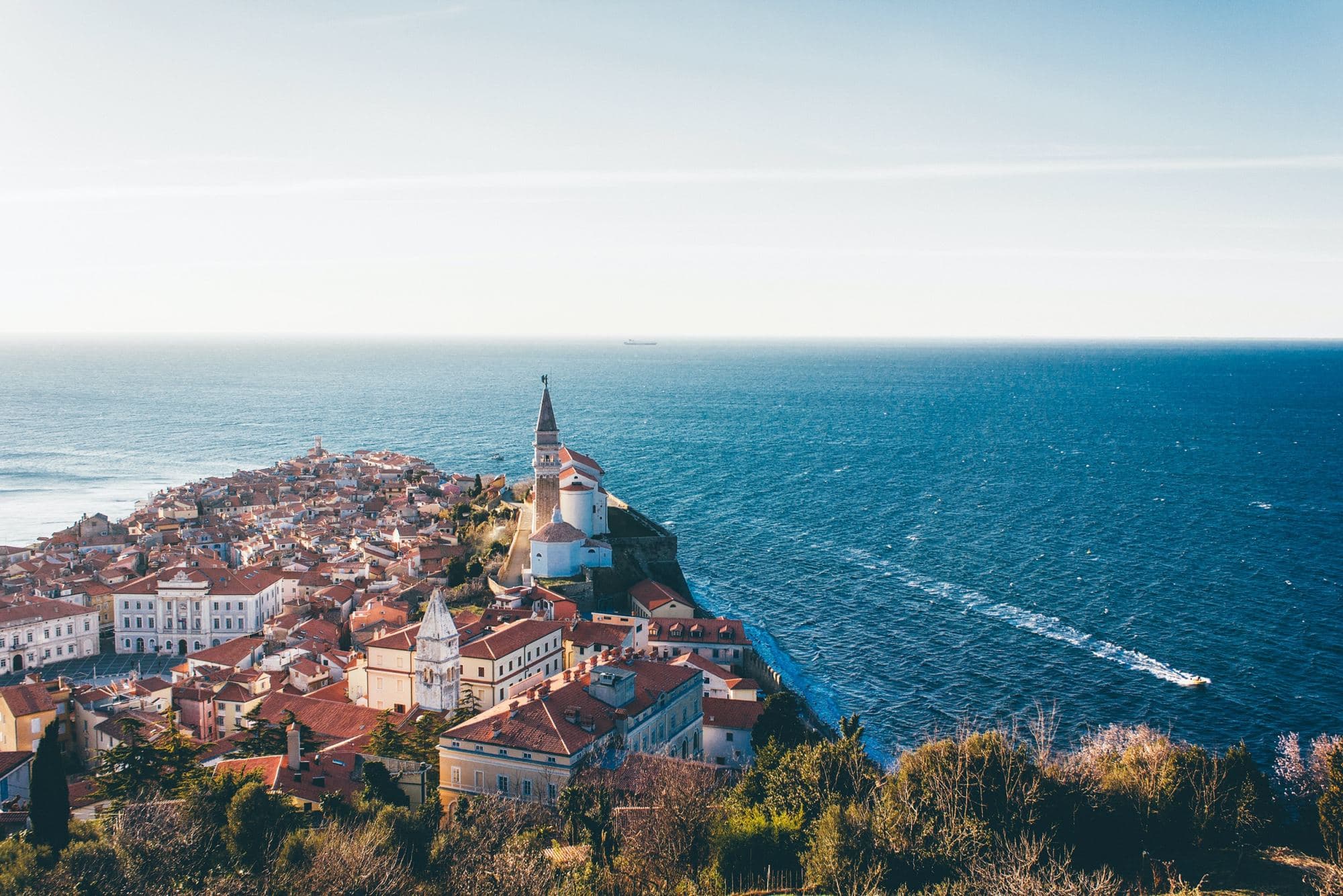 City with buildings near sea ocean.