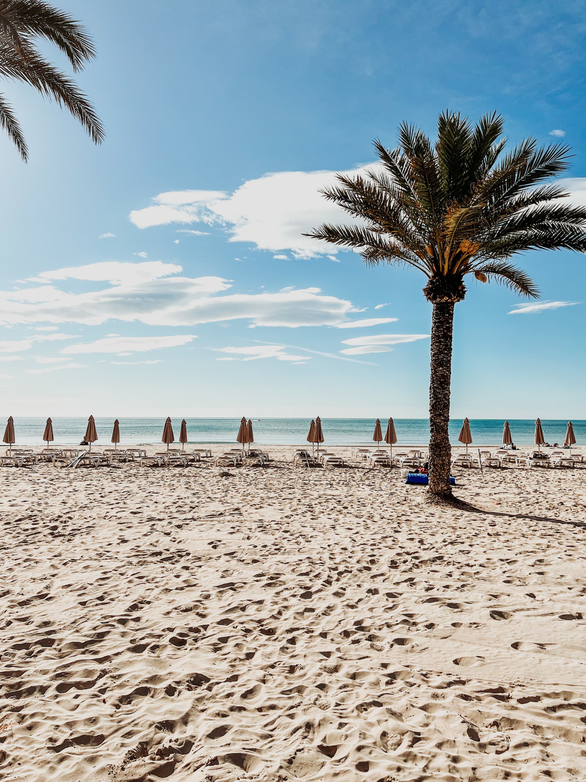 beach with closed umbrellas