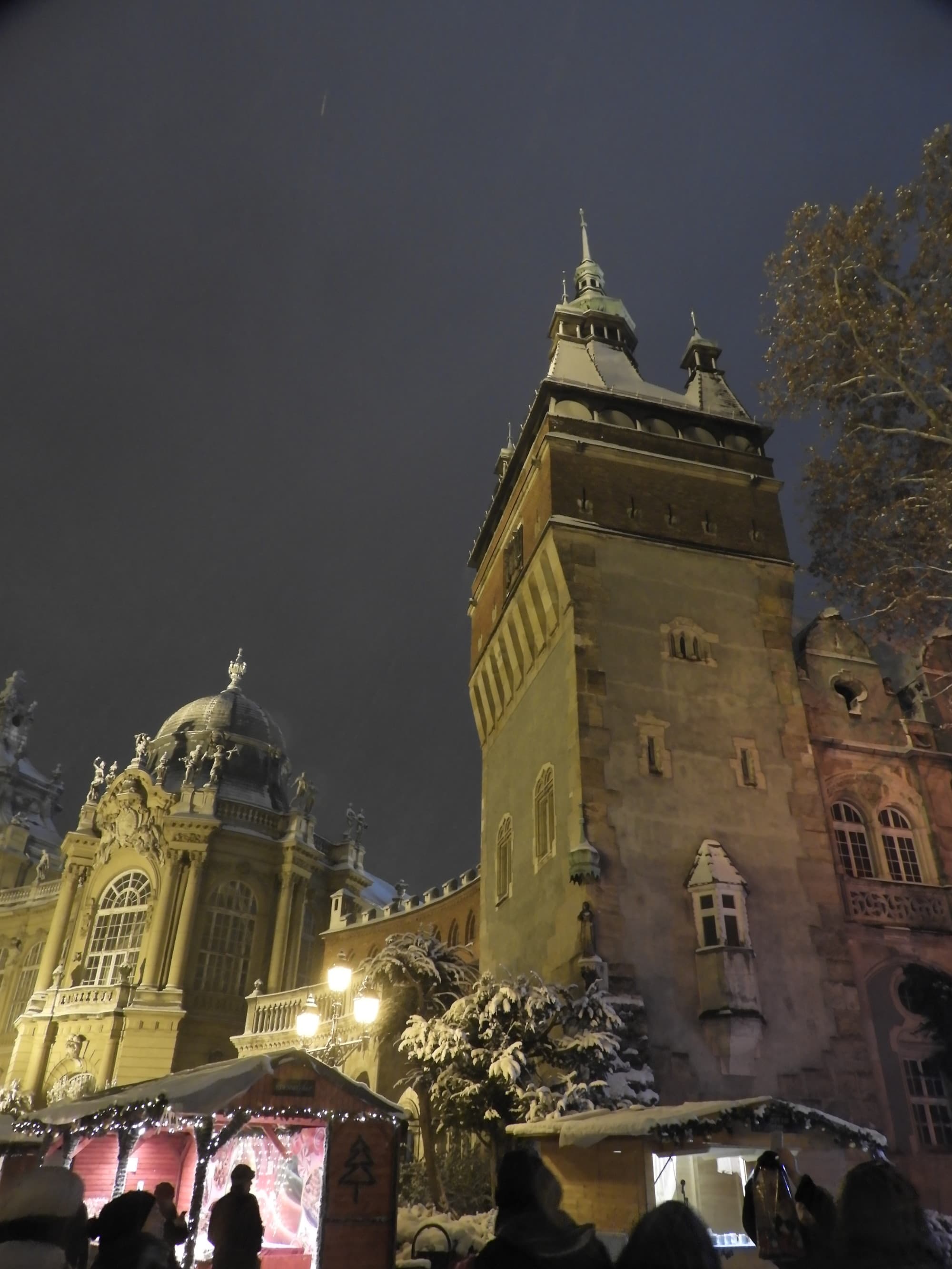 A low angled picture of the Snowy Castle night.