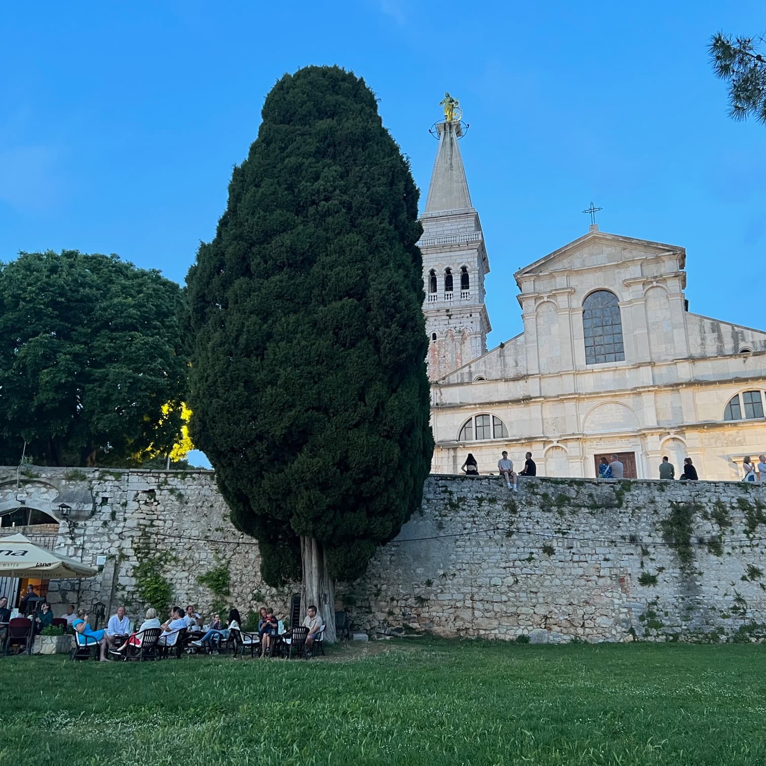 A church with a big tree in front.