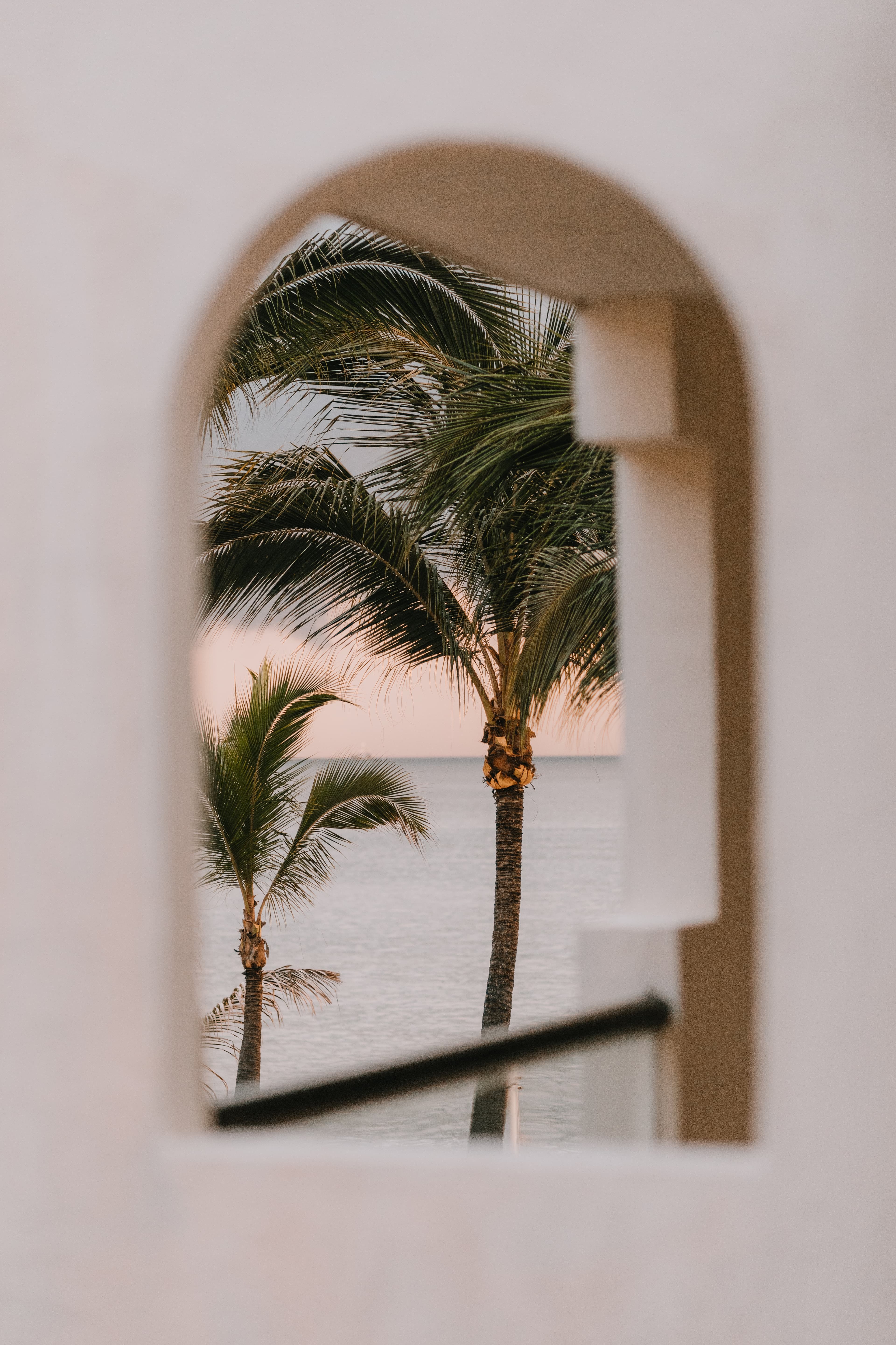 Two palm trees against the ocean.