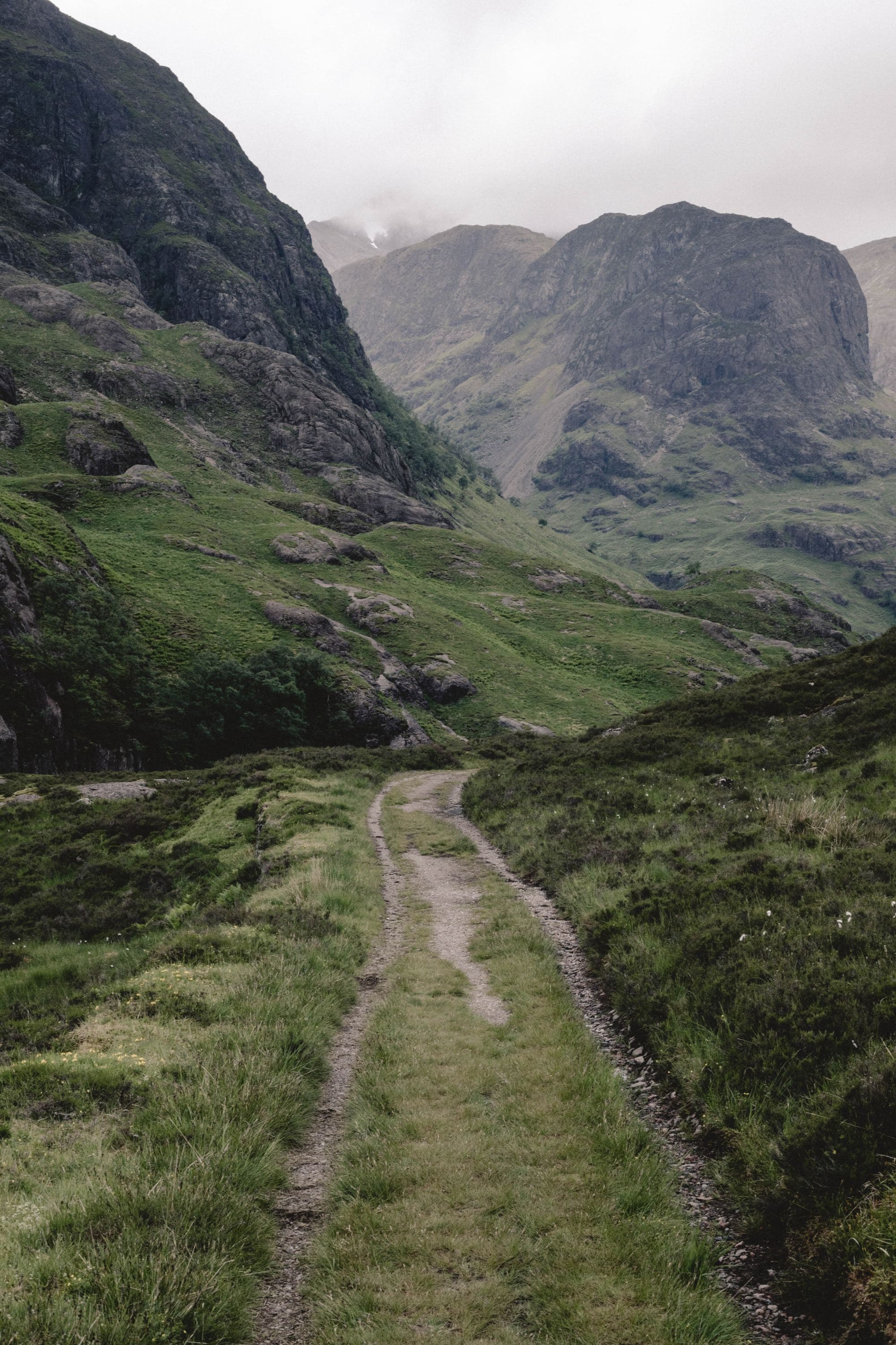 grassy road in the mountains