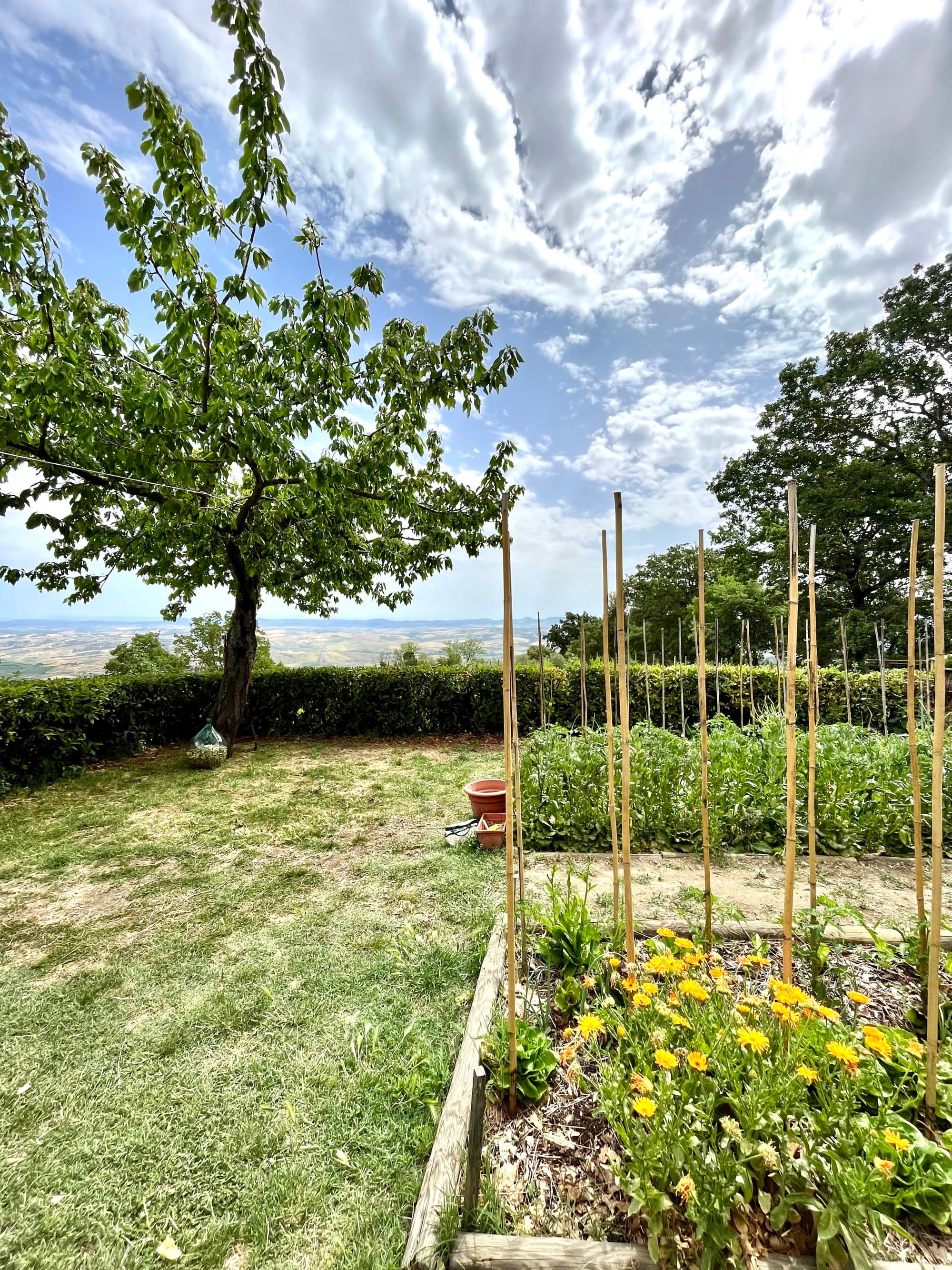 the rolling hills of Tuscany beyond a flowering garden