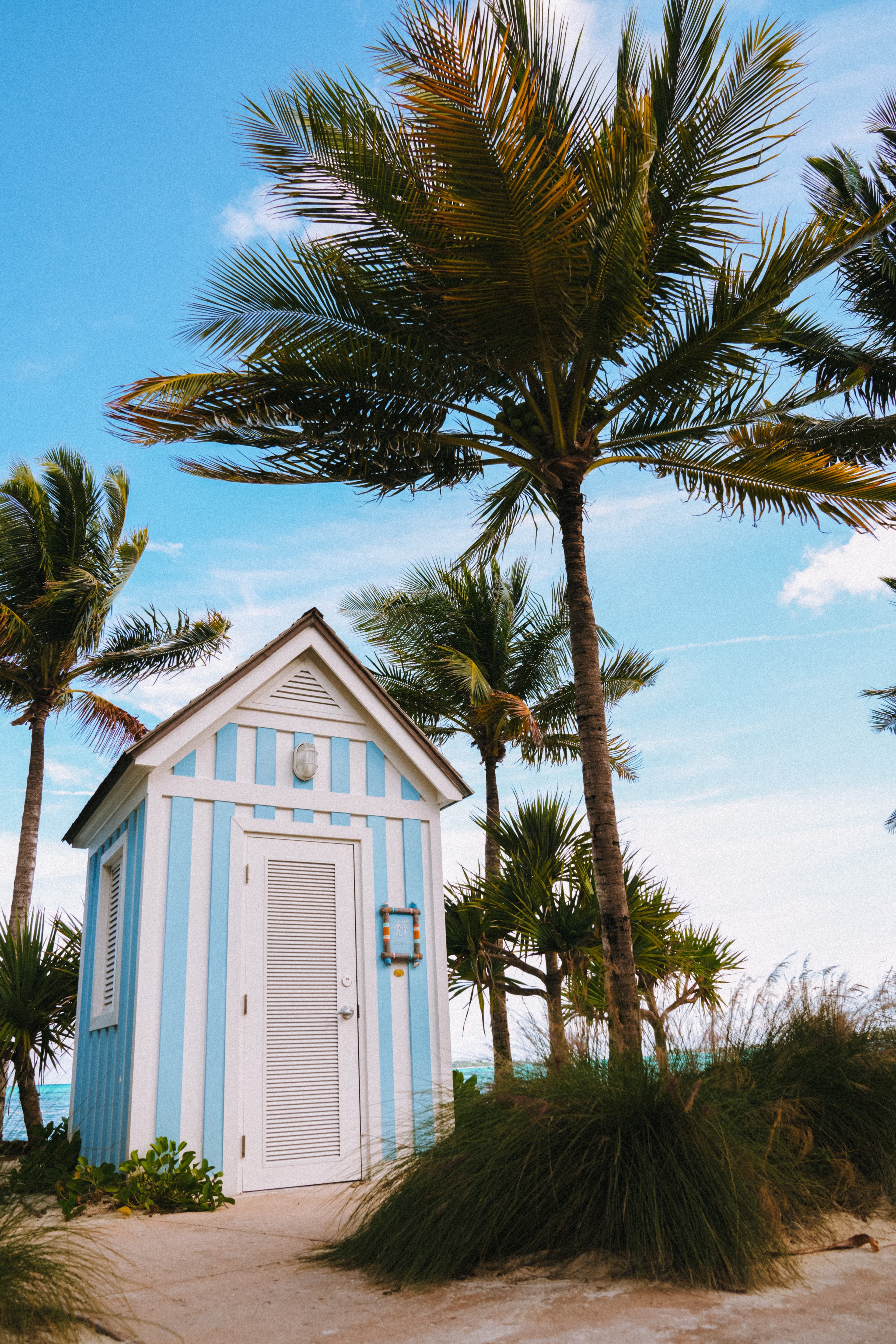 A striped house and palm trees in the Bahamas.