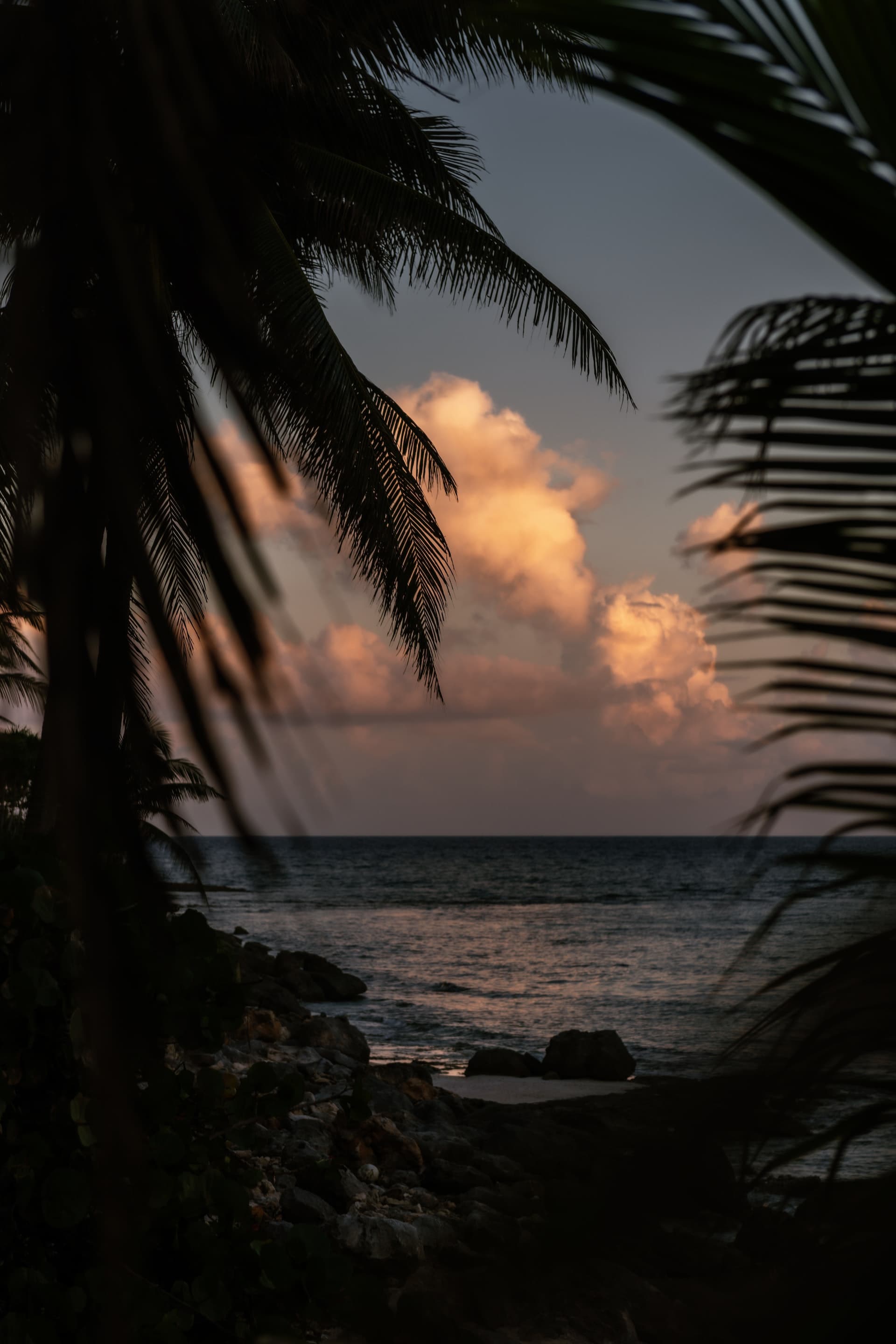 Playa del Carmen is a vibrant coastal paradise on Mexico's Riviera Maya.