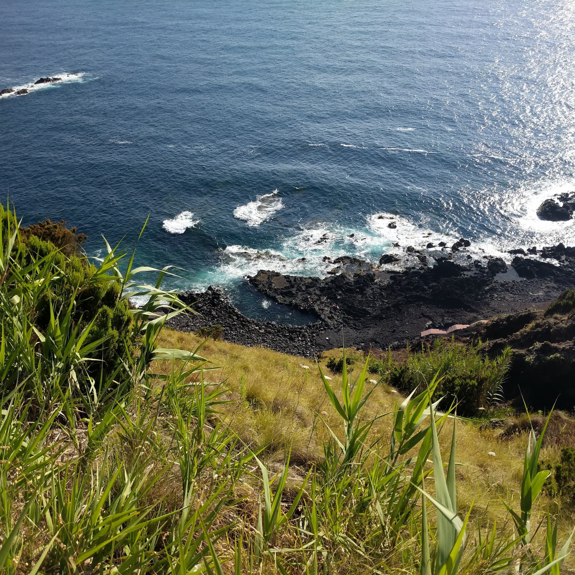 Sea shore with rocks and grass.