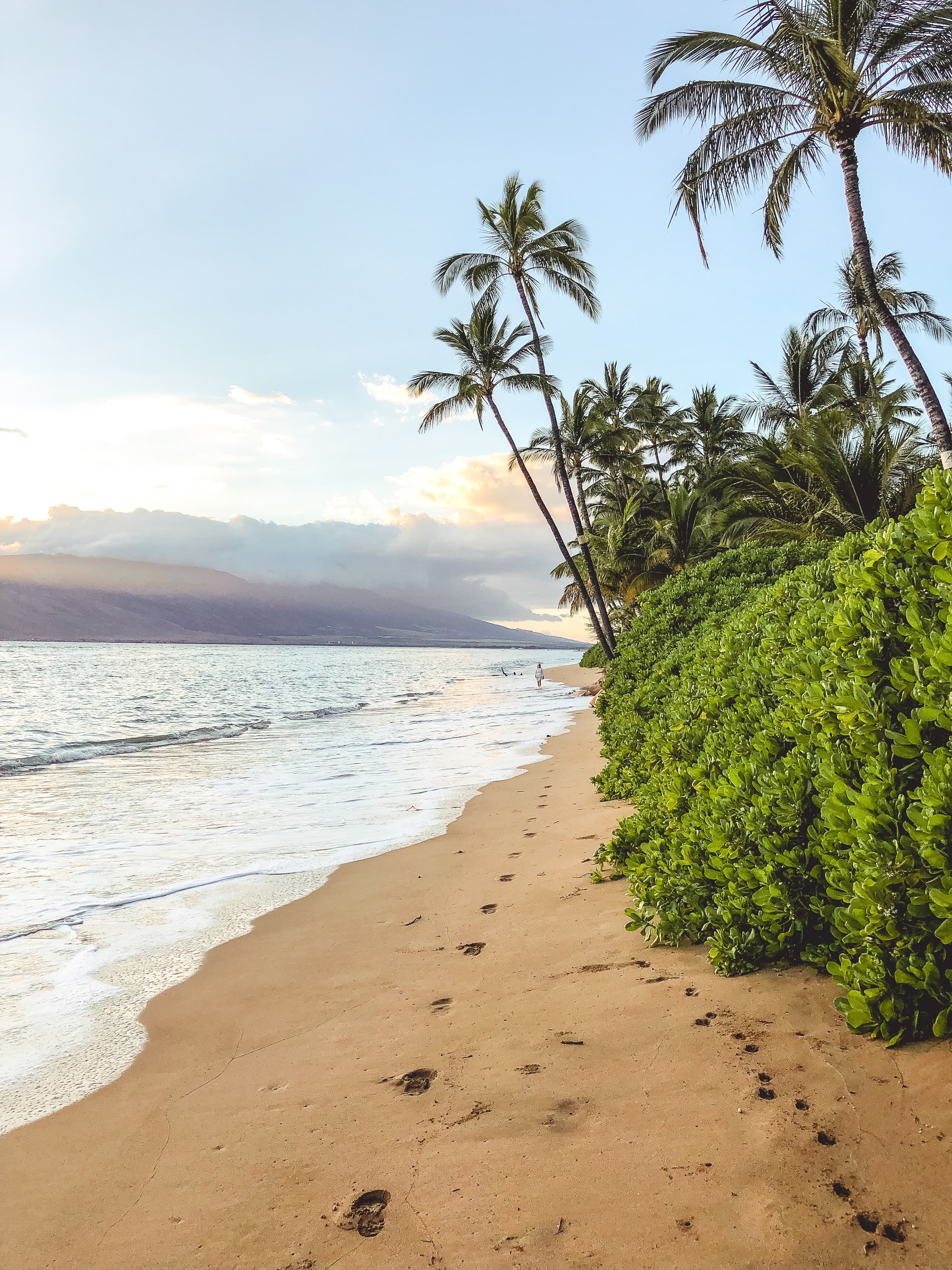 Beach, ocean and palm trees.