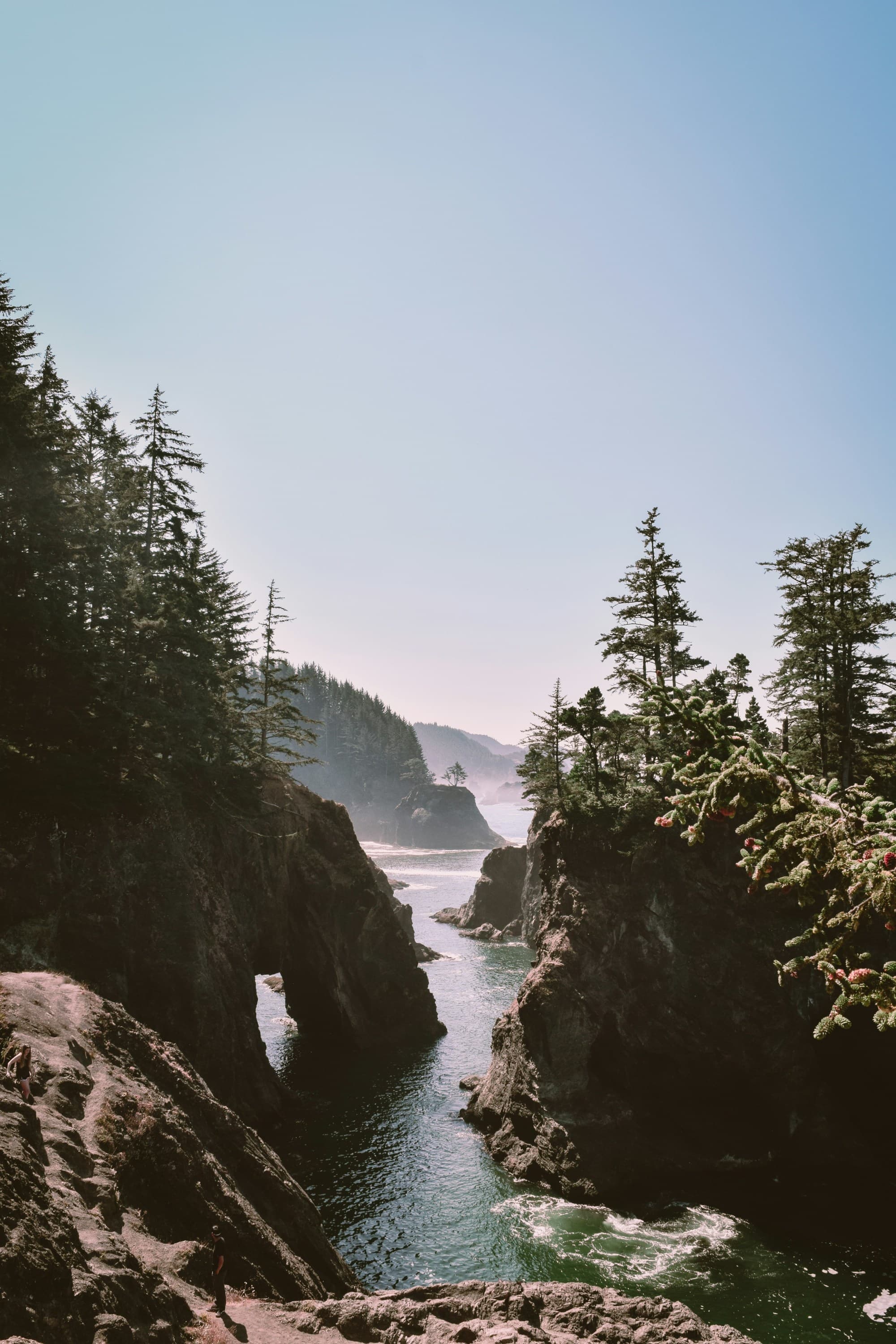 A narrow stretch of ocean between rock formations with evergreen trees on top