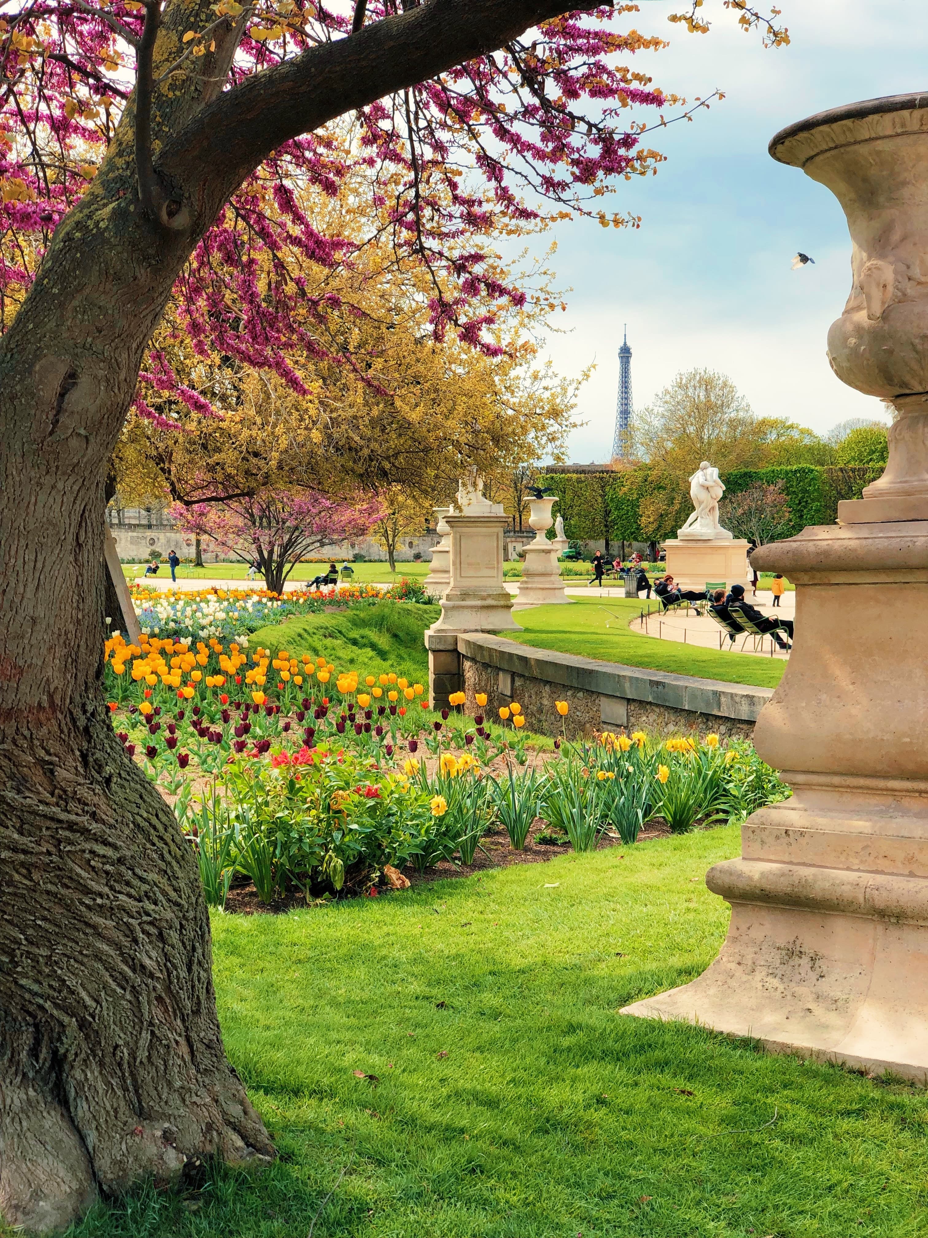 Tuileries Garden filled with spring flowers and the Eiffel Tower at a distance.