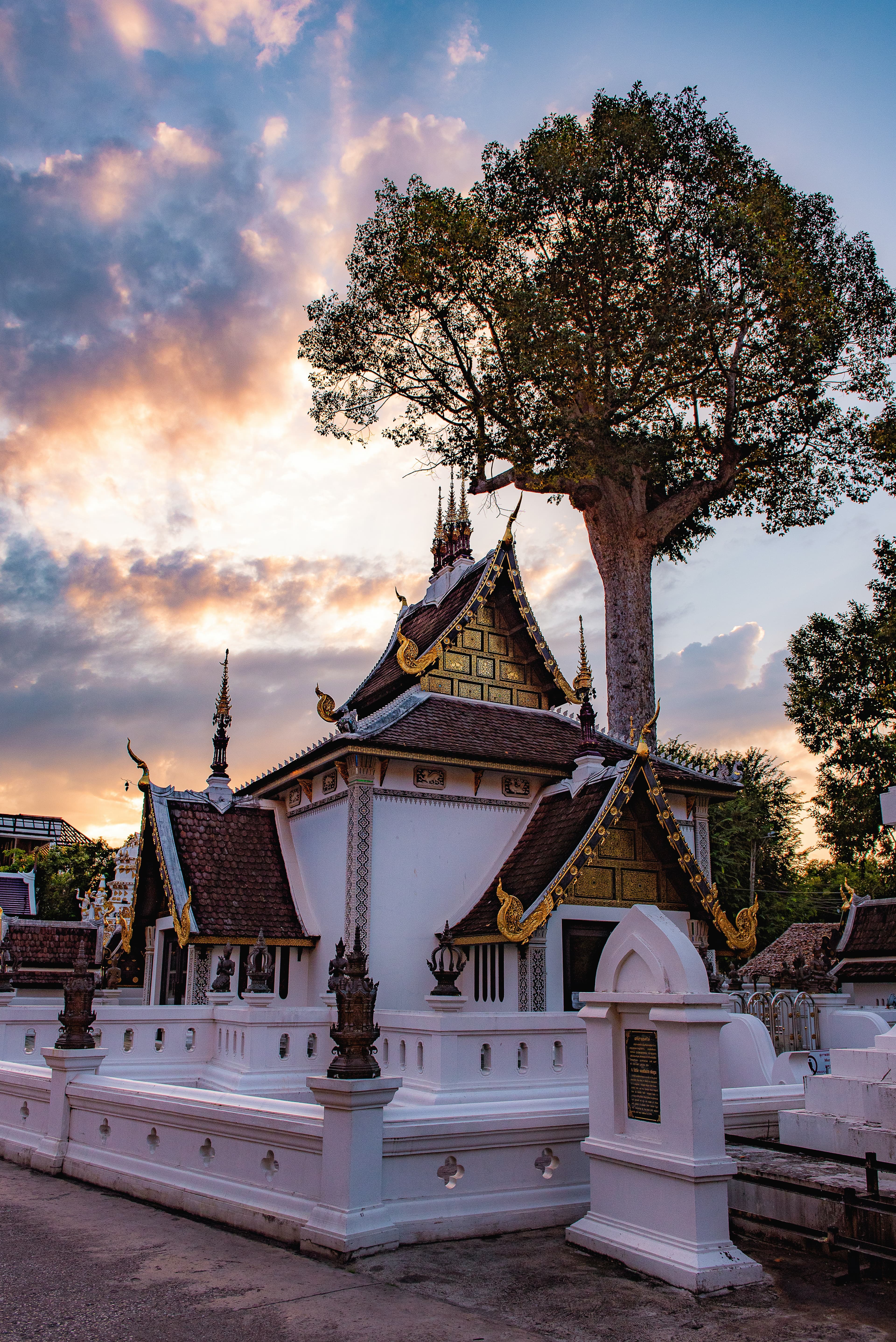 house and tree in Chiang Mai sunset