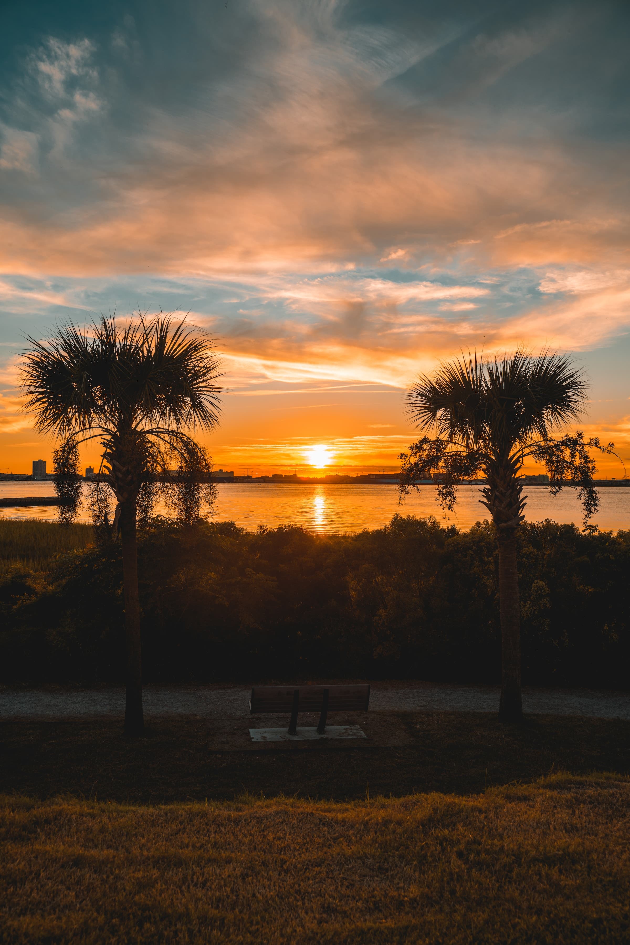 Sunset over water with palm trees