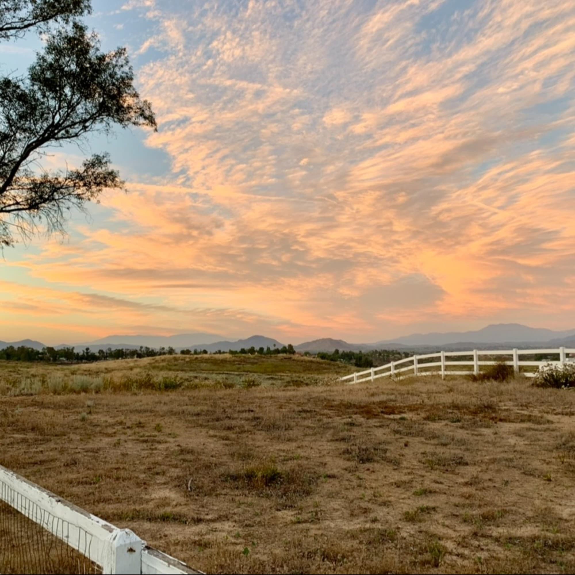 A picture of a field with green trees and white fence during sunset.