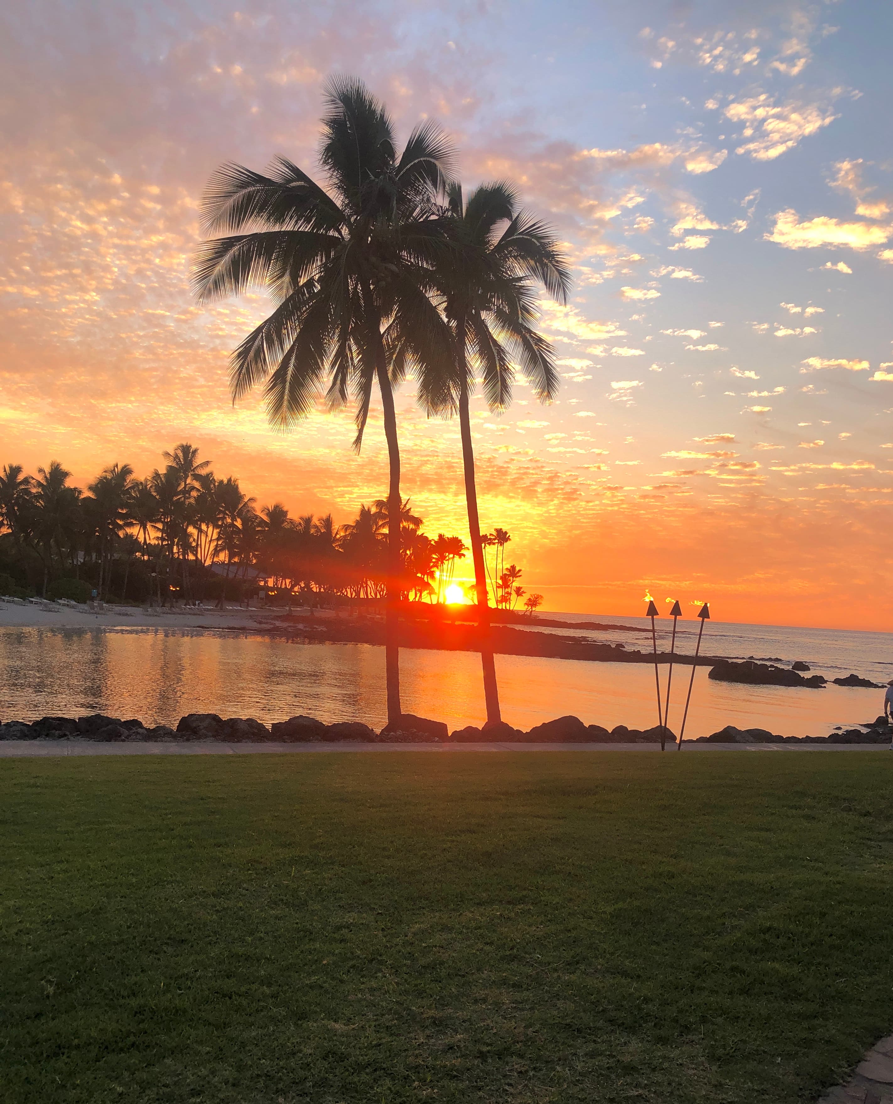 Body of water and palms trees in front of a sunset