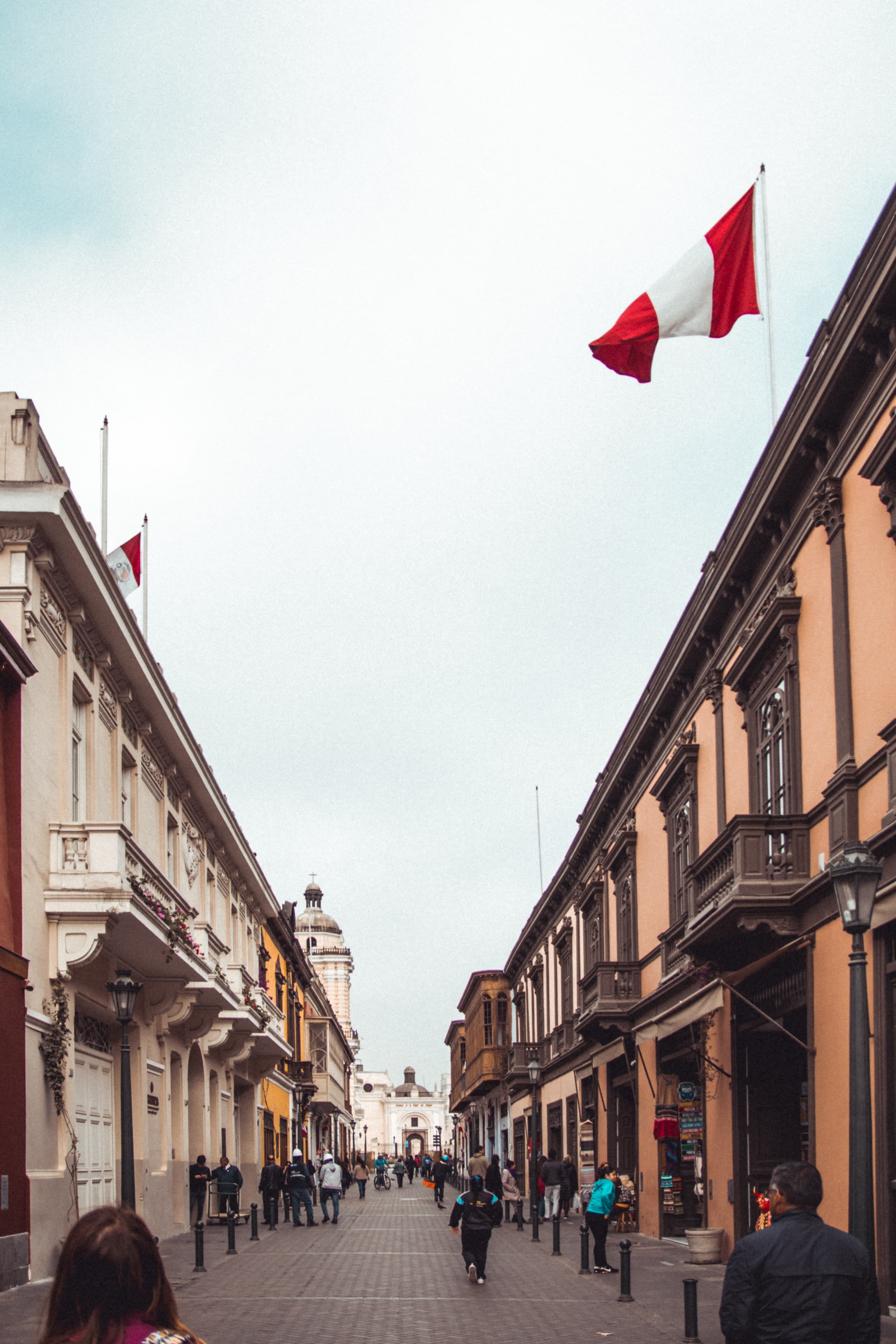 Brown buildings with red and white flag with cloudy skies