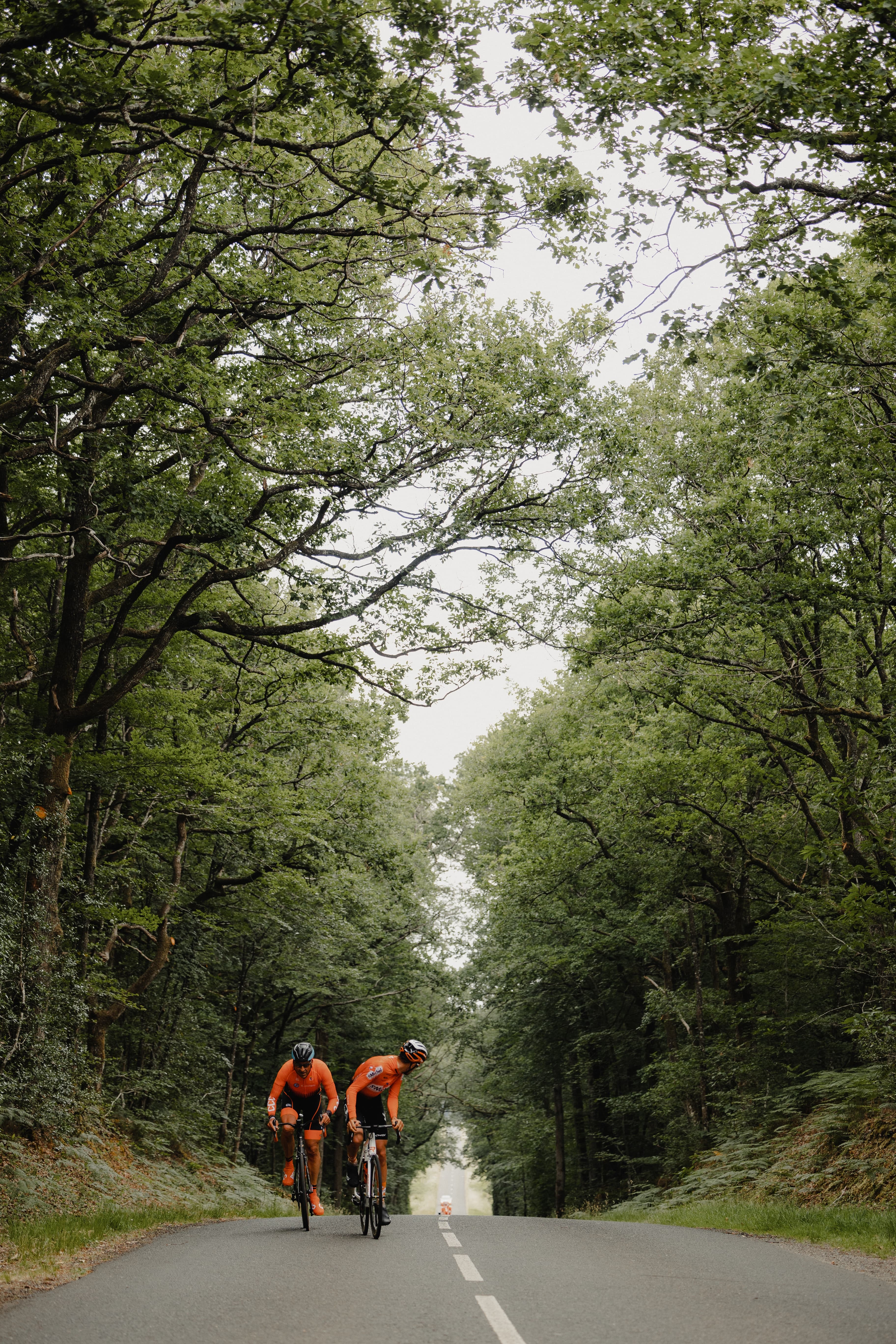 Biking the Tour de France in France in an orange jersey.