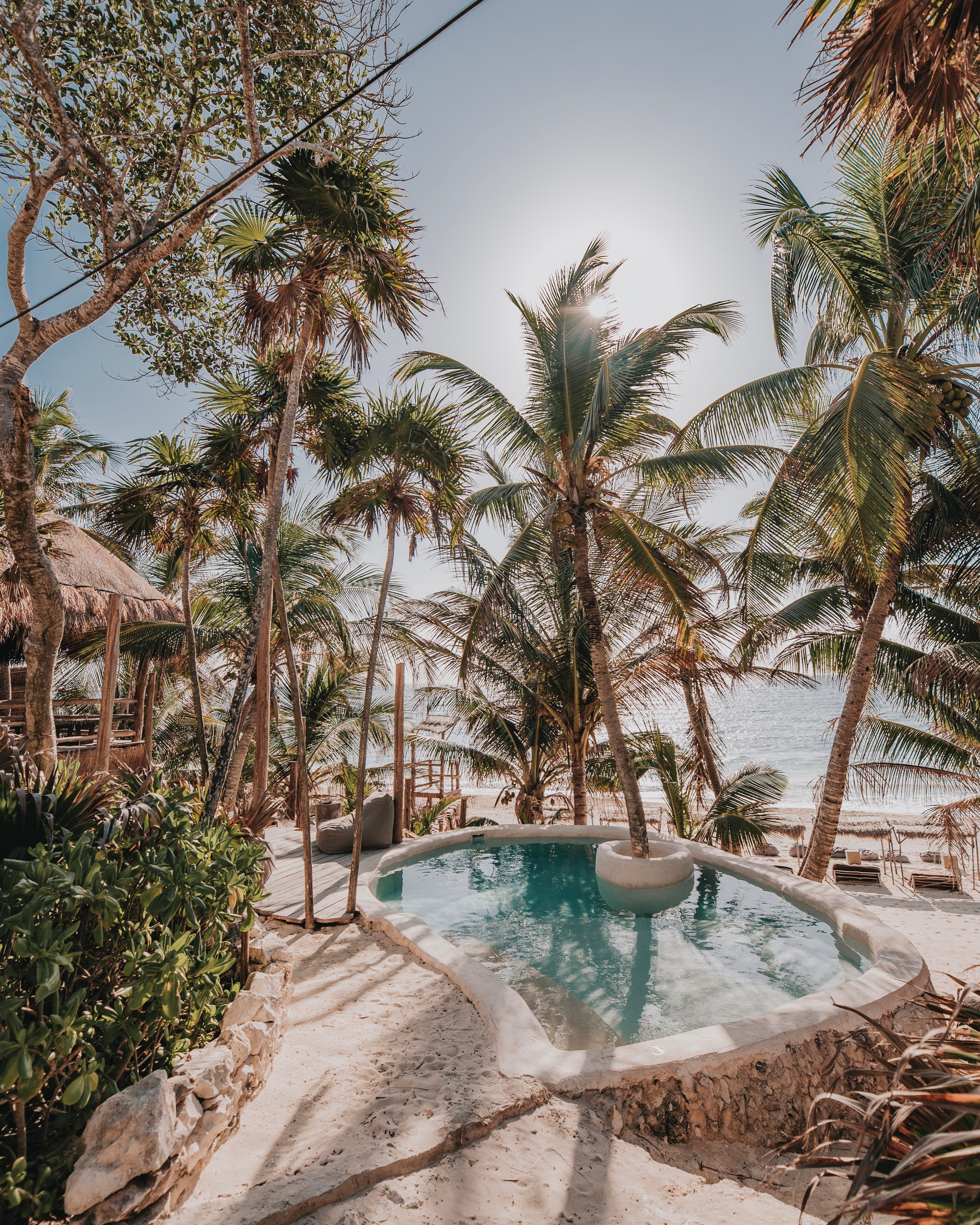 outdoor pool surrounded by palm trees during daytime